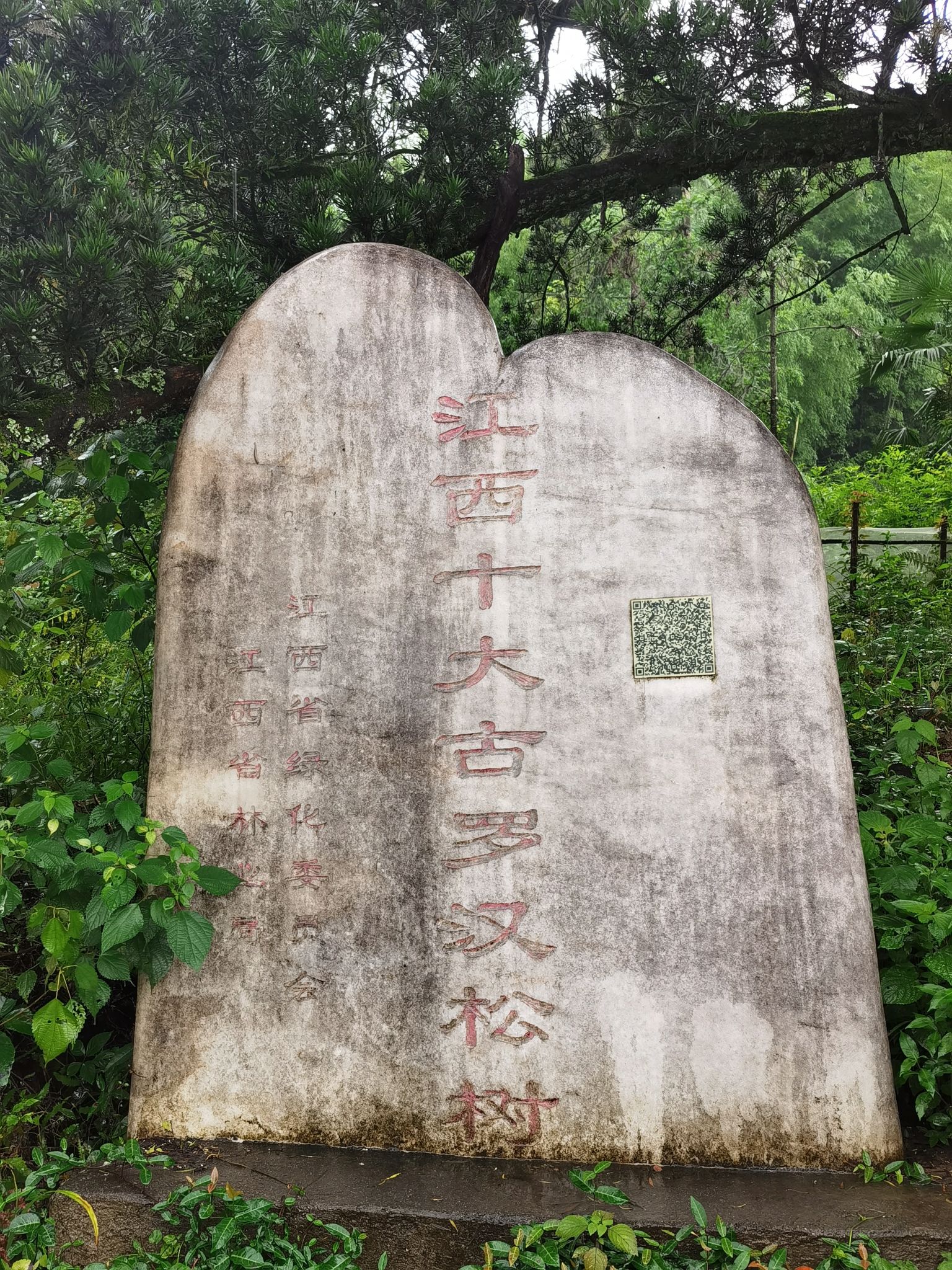 江西省虎峰山省级森林公园旅行图片 3