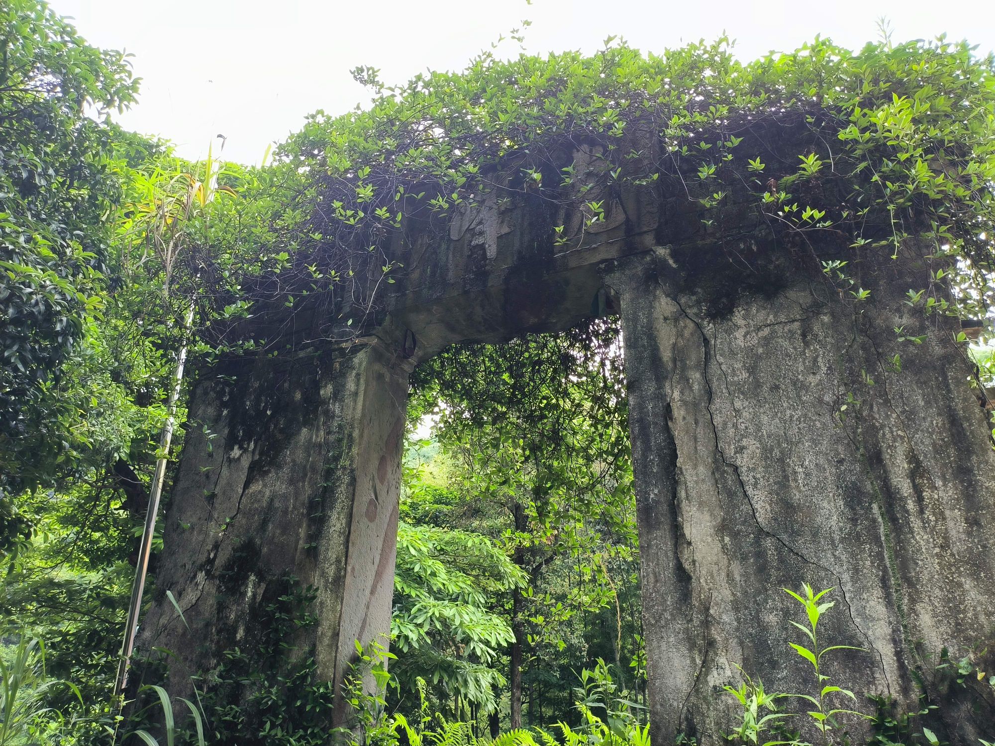 江西省虎峰山省级森林公园