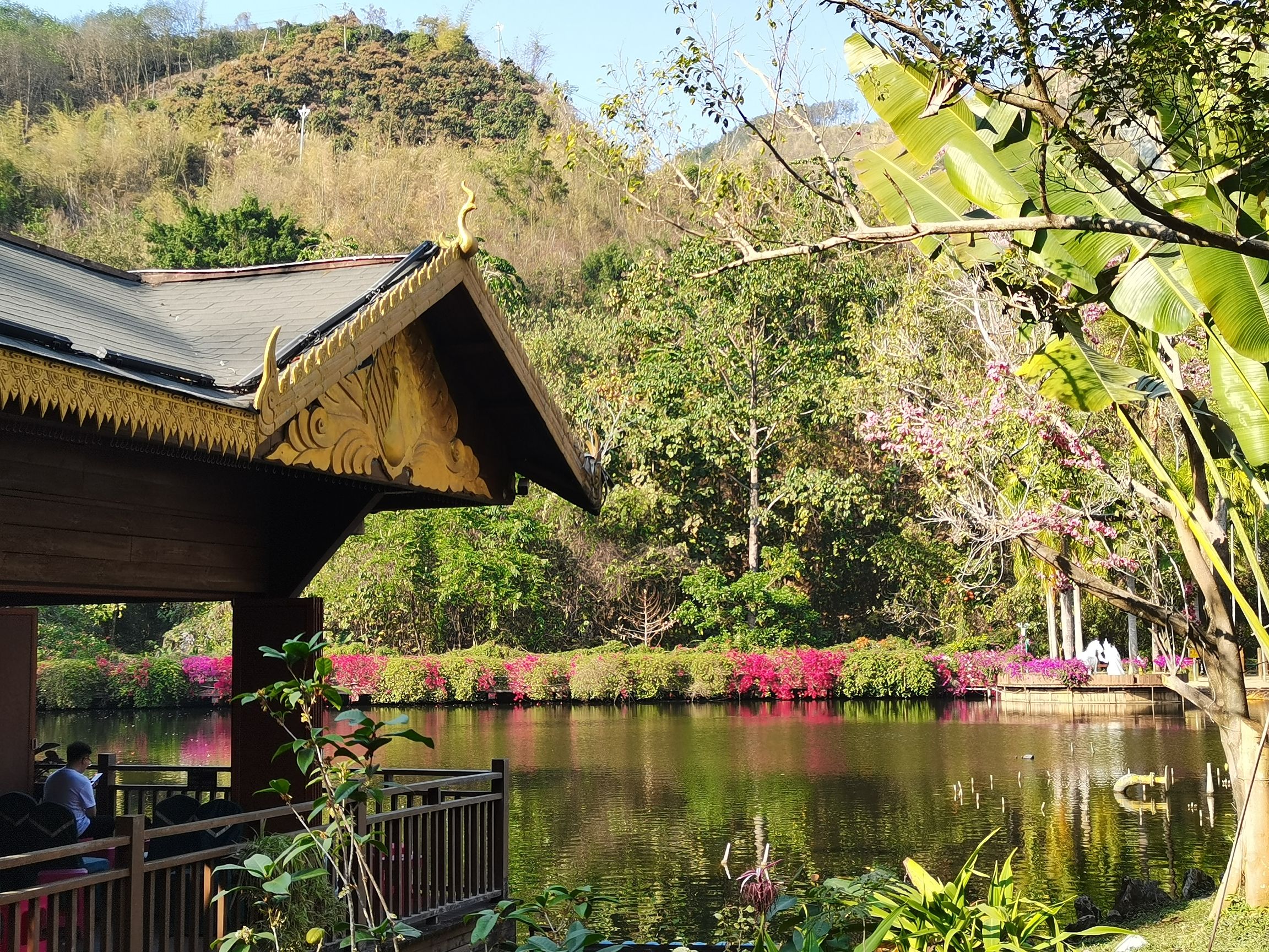 西双版纳原始森林公园-金湖