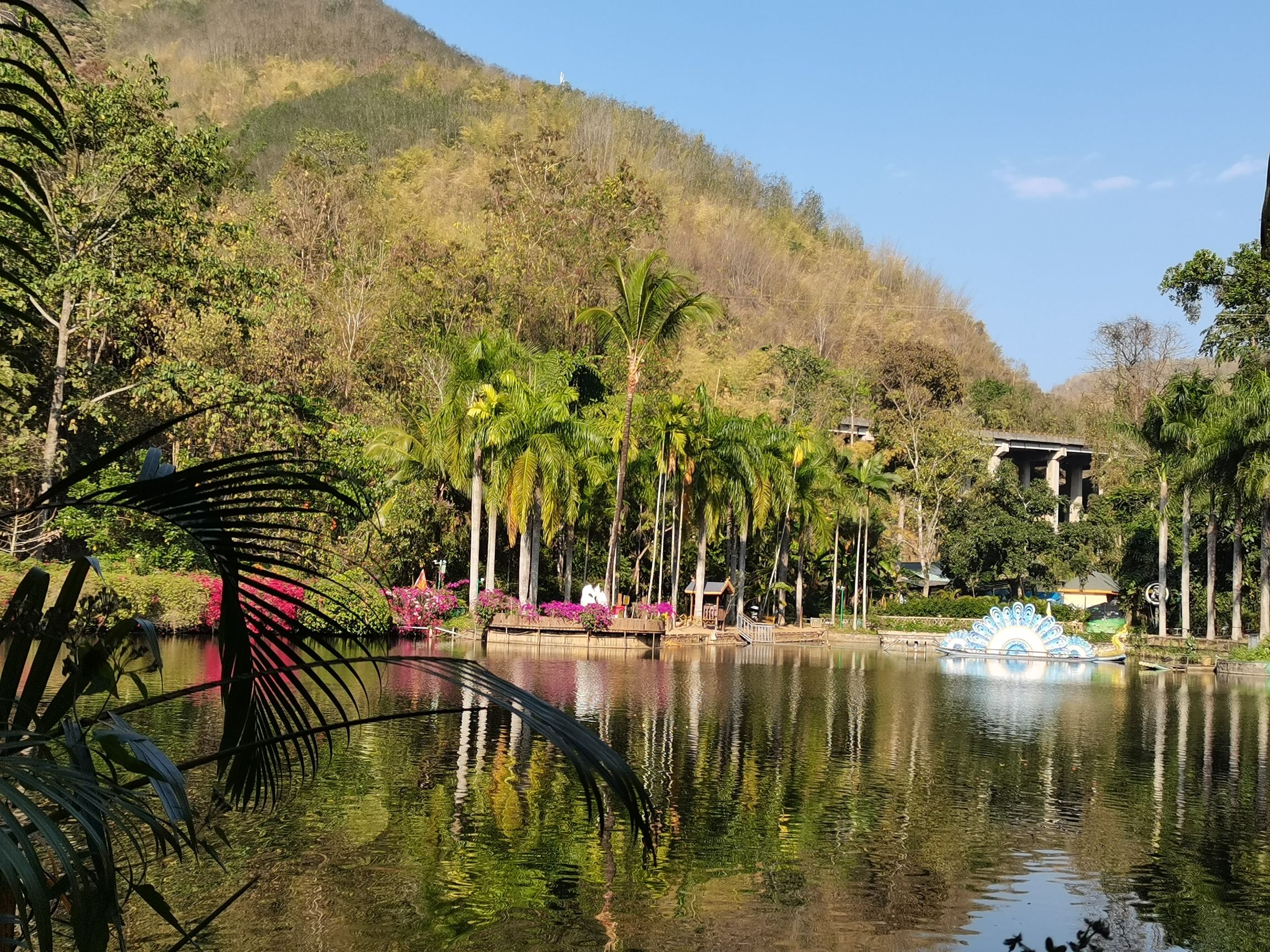 西双版纳原始森林公园-金湖