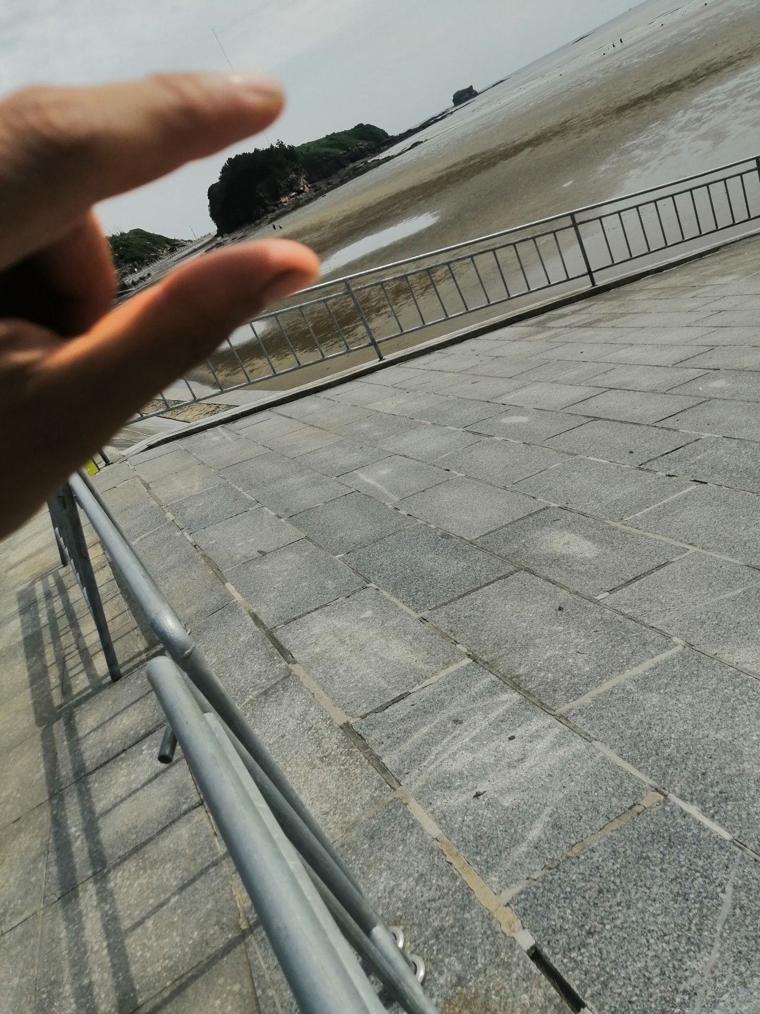 獐岛景区旅行图片 3