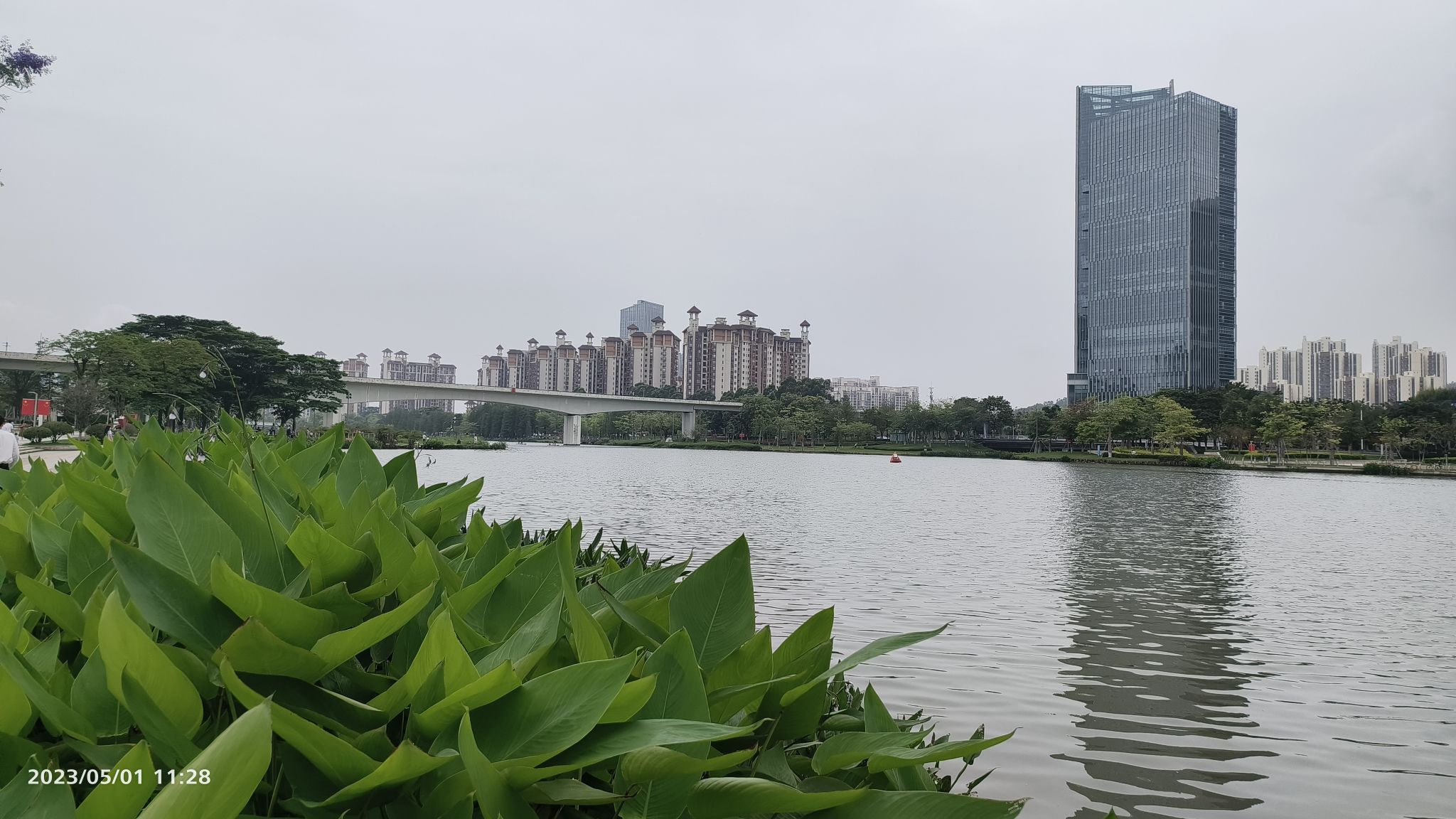 南沙蕉门河景区旅行图片 2