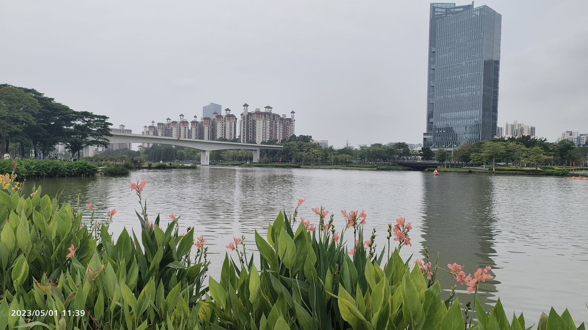 南沙蕉门河景区旅行图片 3