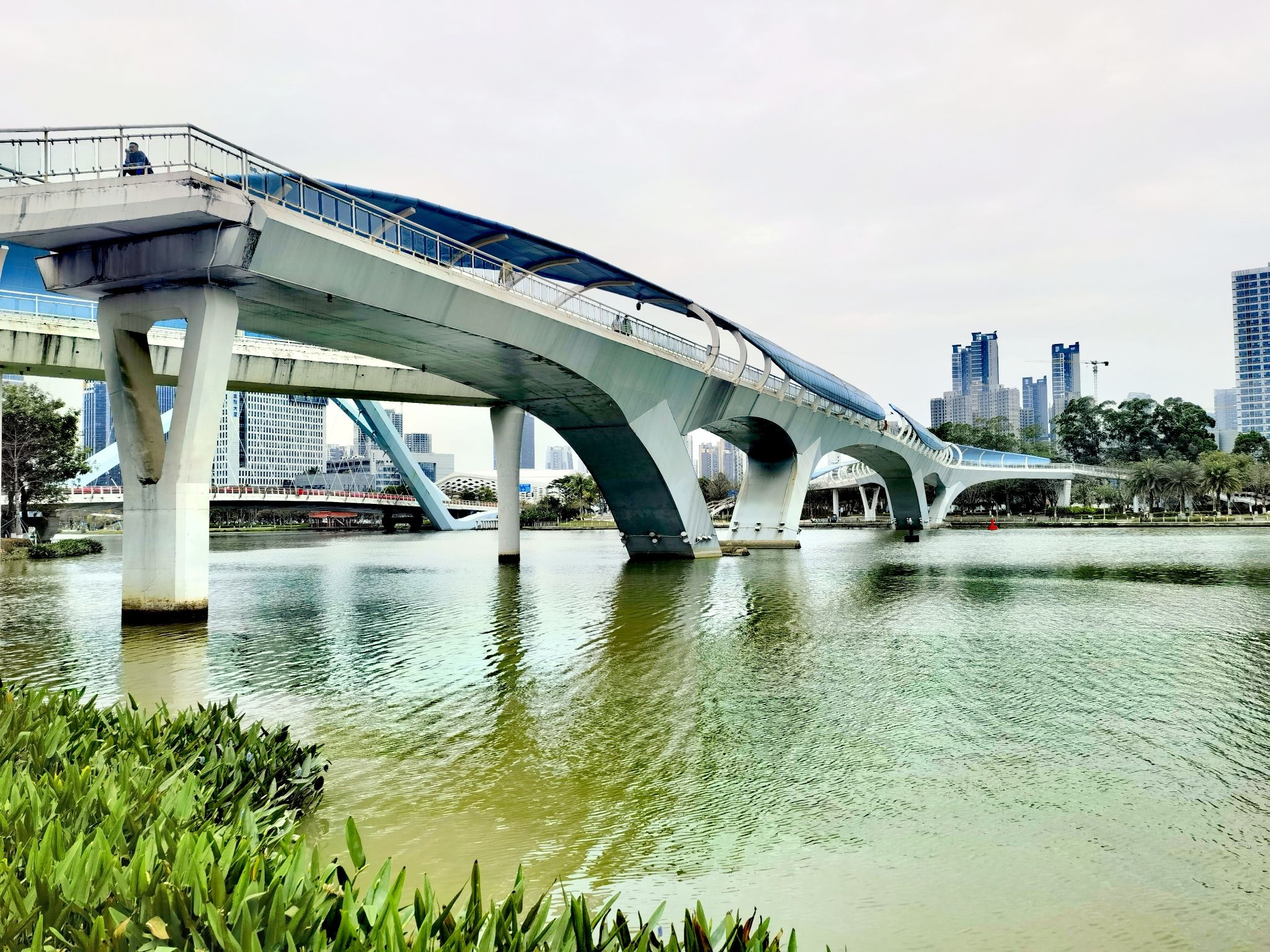 南沙蕉门河景区旅行图片 1