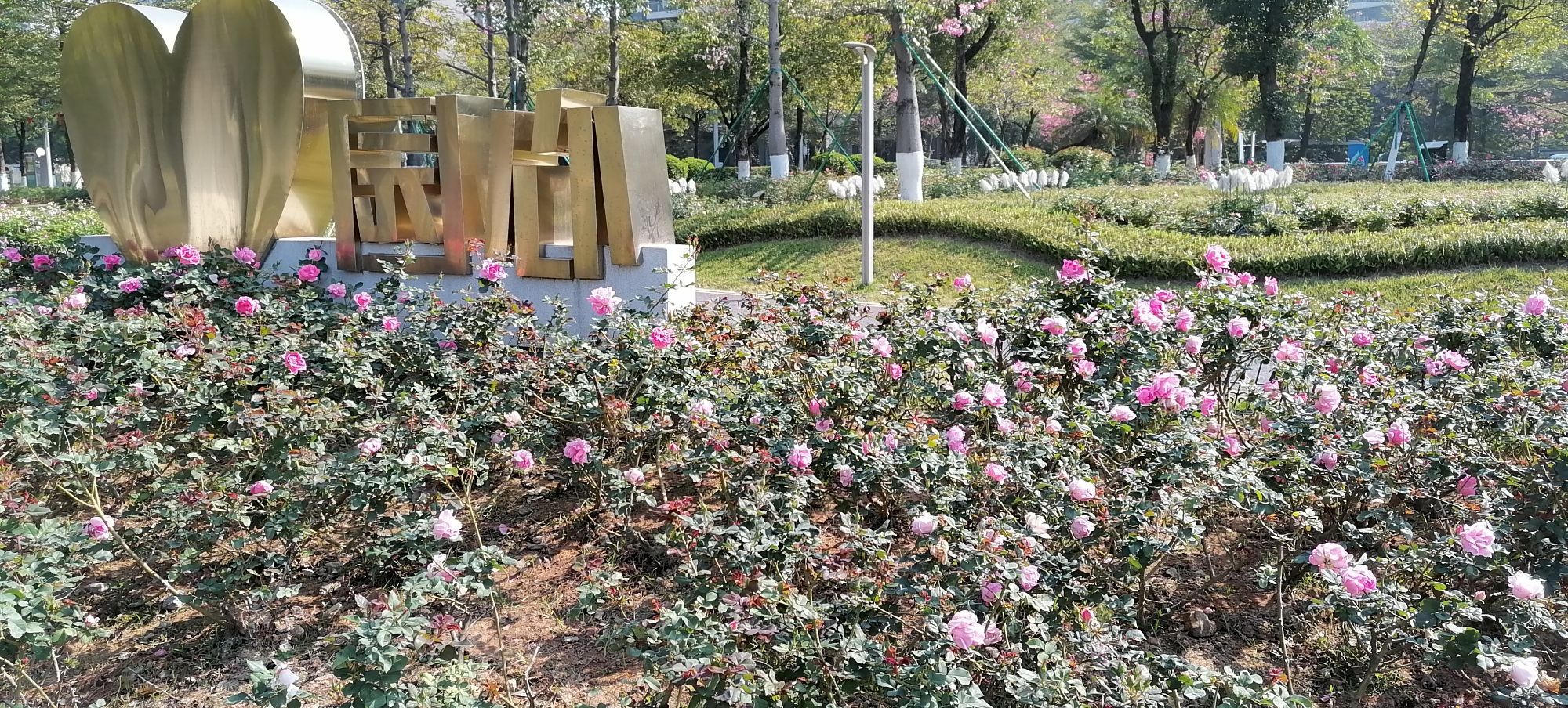 南沙蕉门河景区旅行图片 2