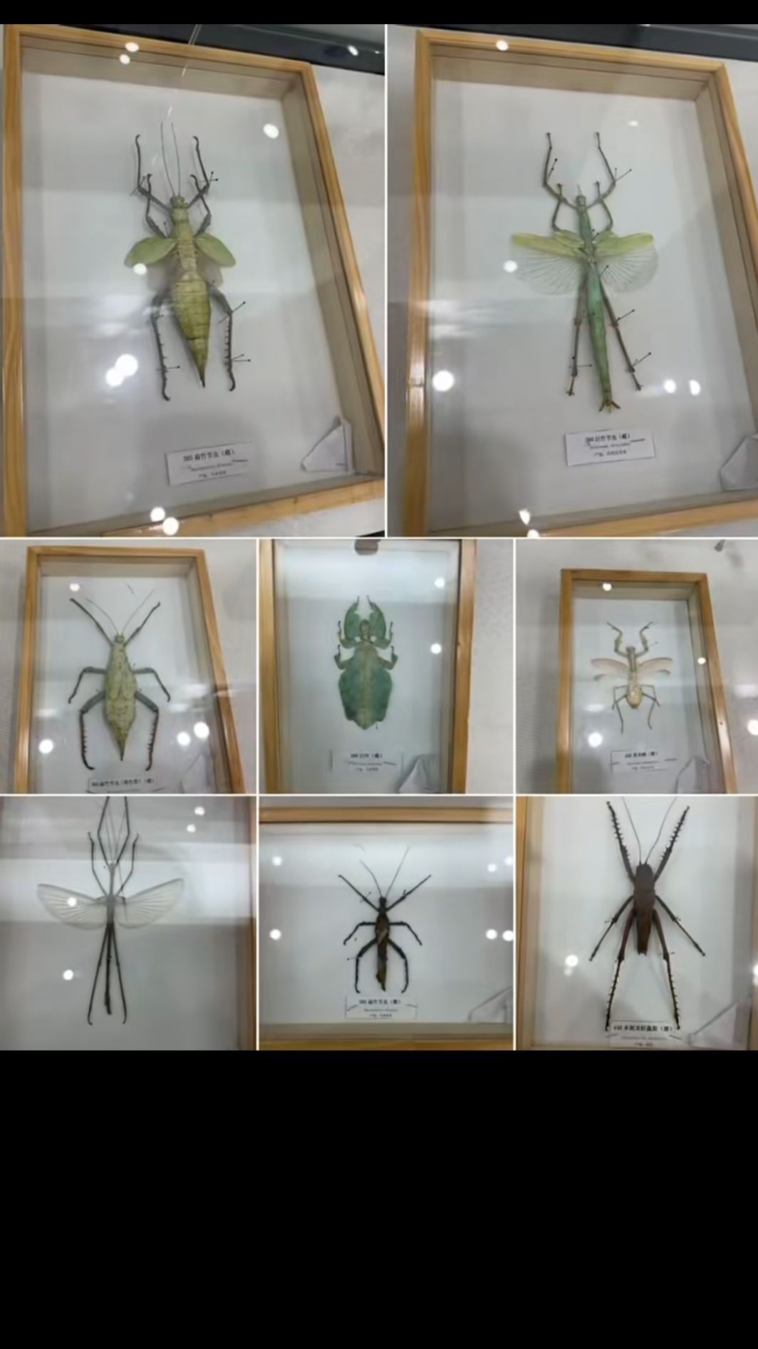 湘潭植物园旅行图片 1