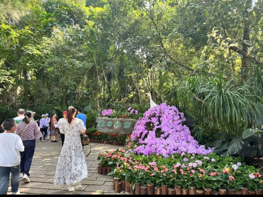湘潭植物园旅行图片 3