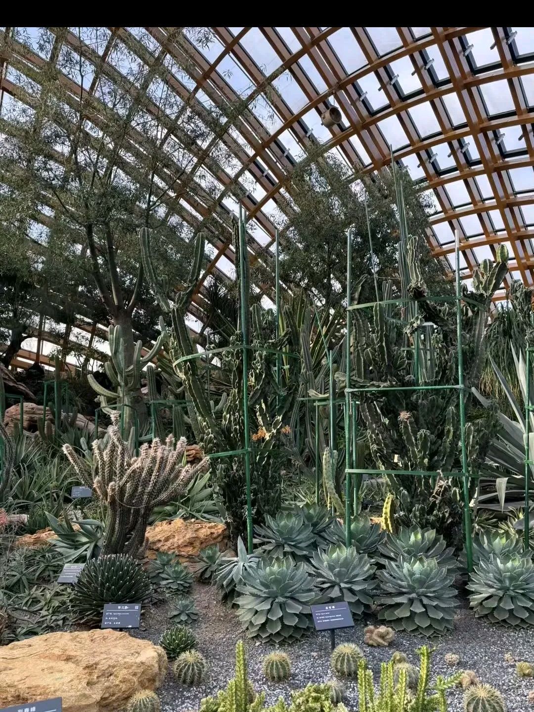 湘潭植物园旅行图片 2