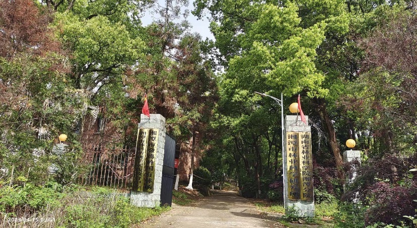 湘潭植物园旅行图片 3