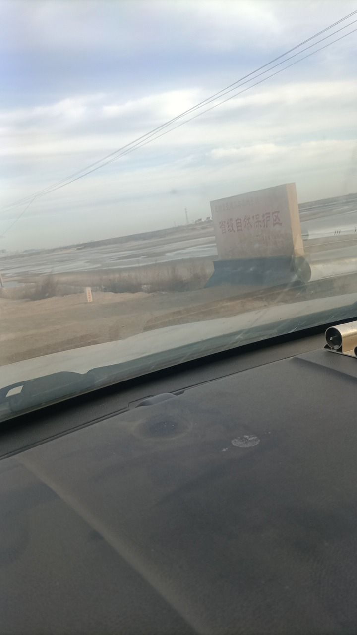 观海广场旅行图片 1