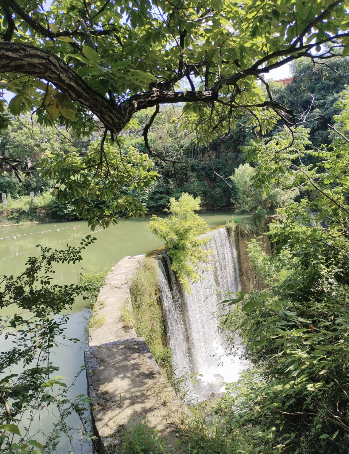 龙床水库景区旅行图片 1
