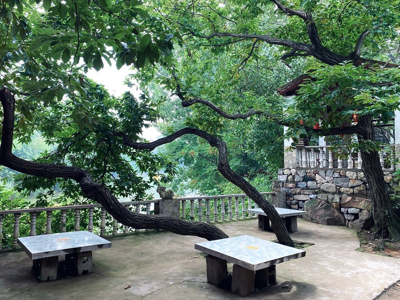 龙床水库景区旅行图片 1