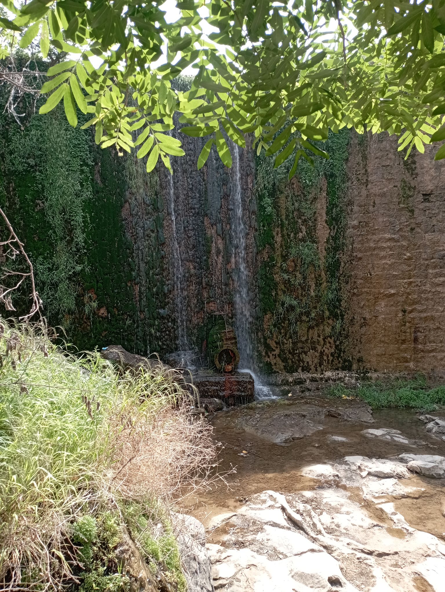 龙床水库景区旅行图片 3