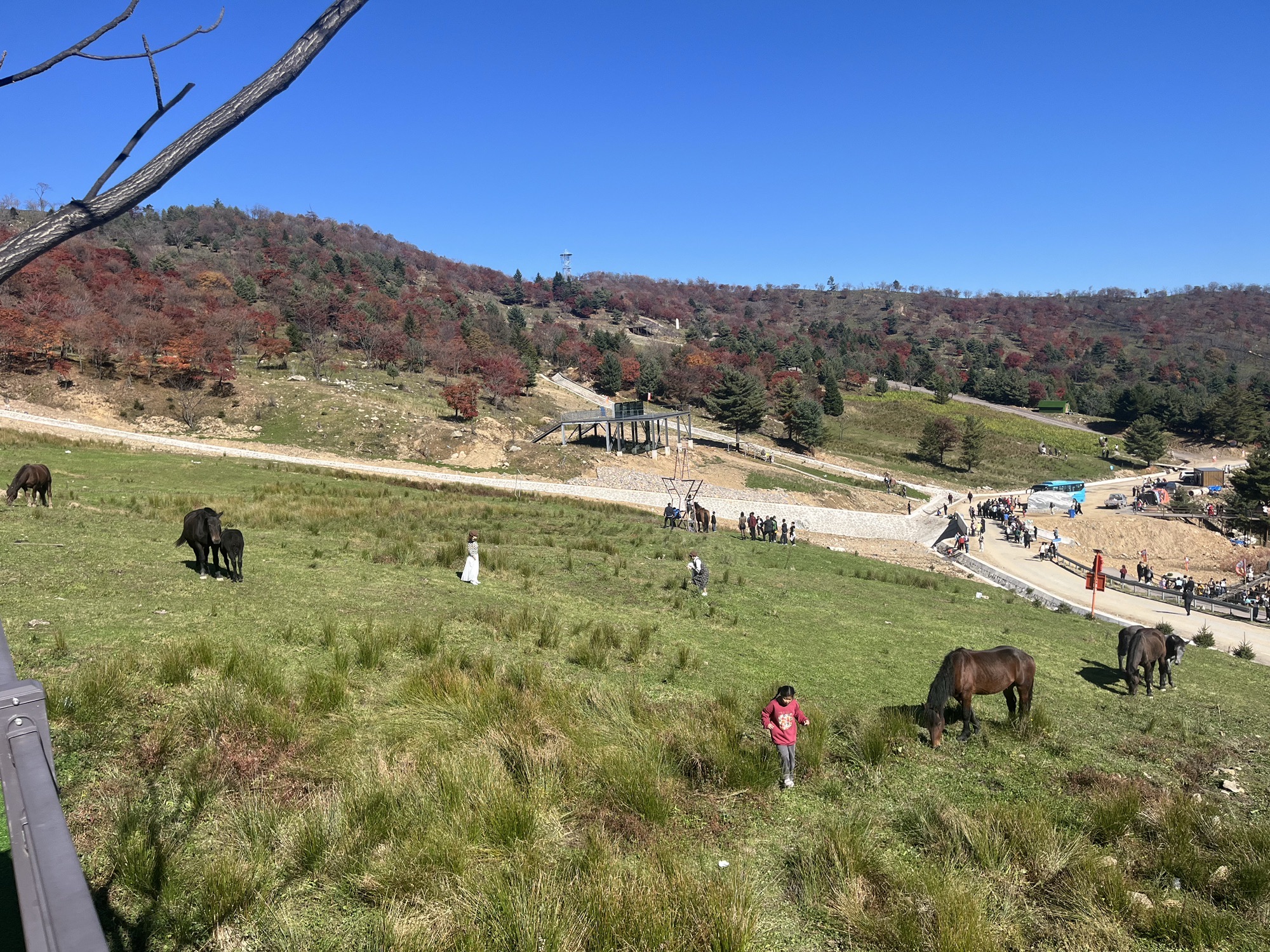 四方山枫叶谷旅行图片 1