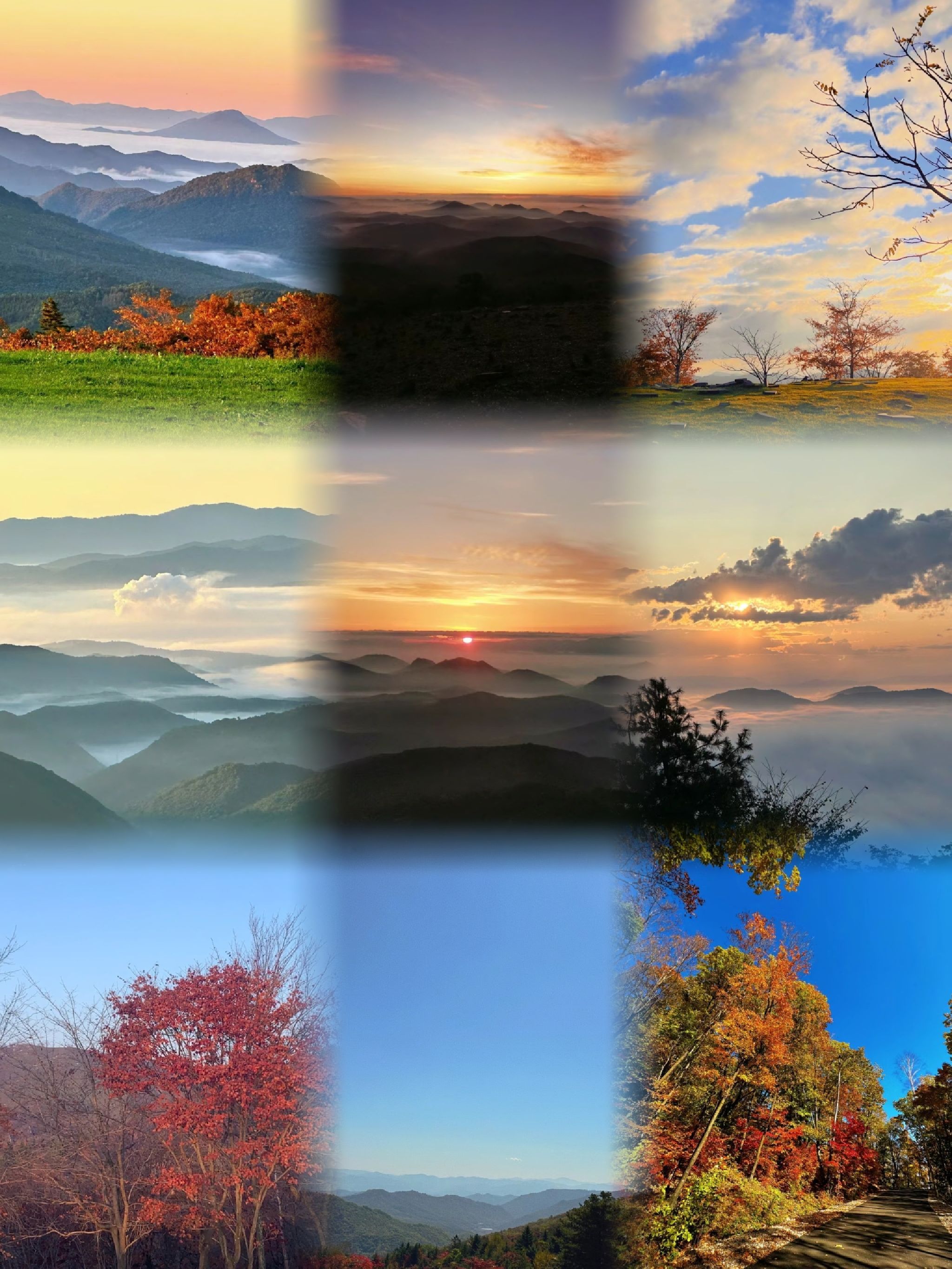 四方山枫叶谷旅行图片 1