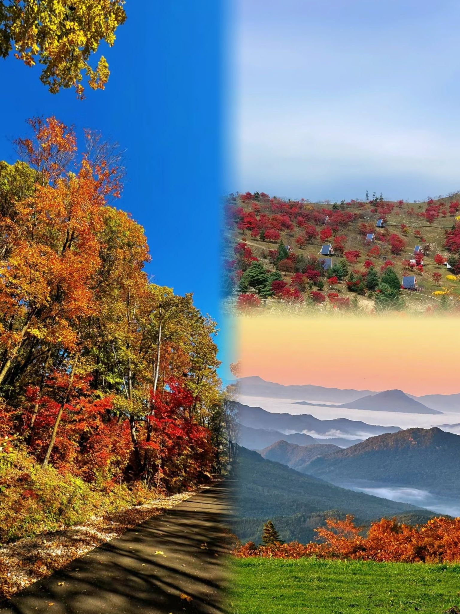 四方山枫叶谷旅行图片 3