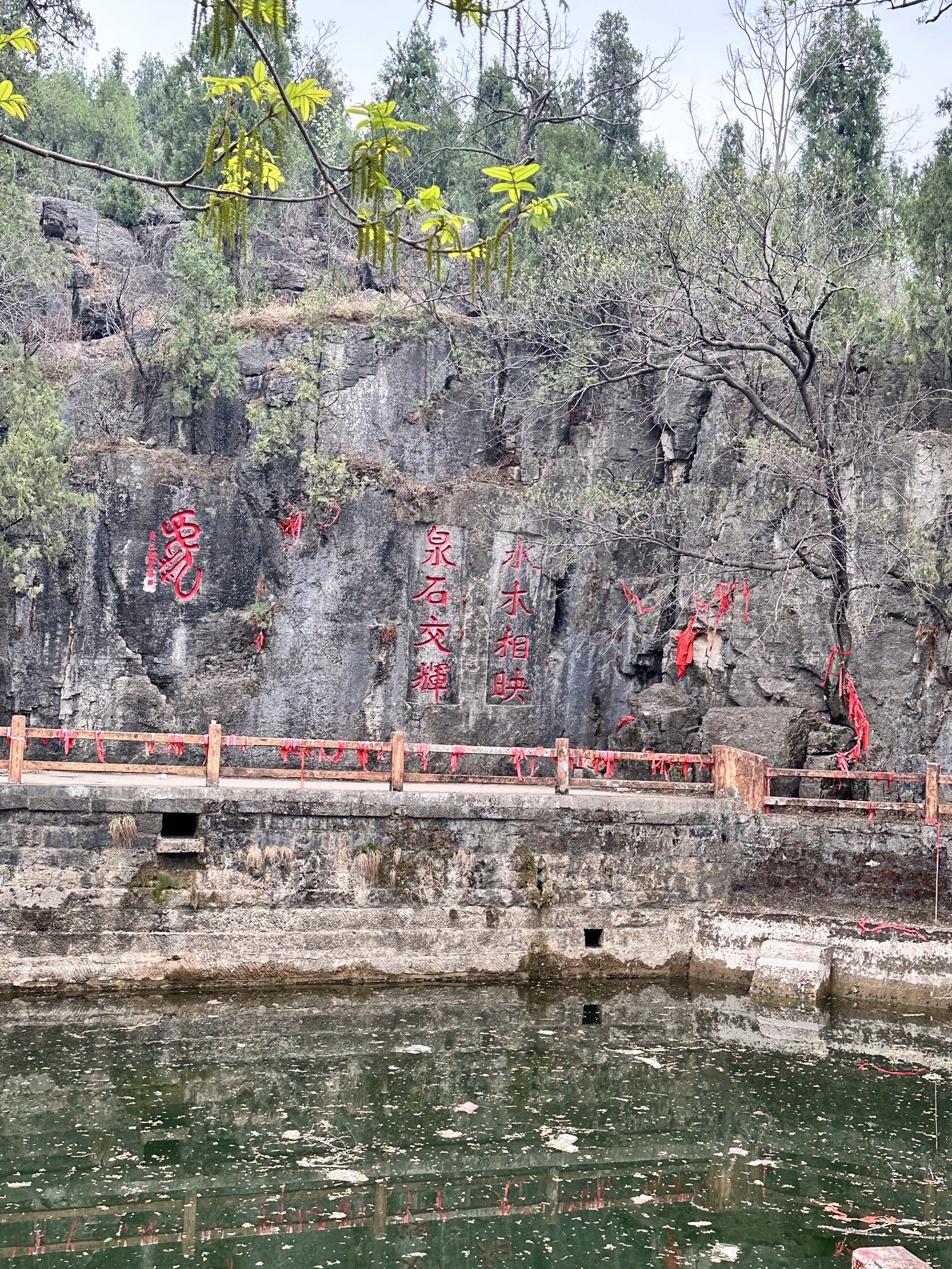 饮虎泉旅行图片 3