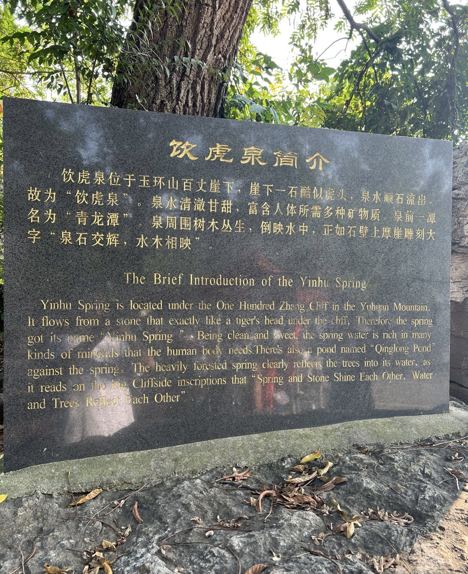 饮虎泉旅行图片 3