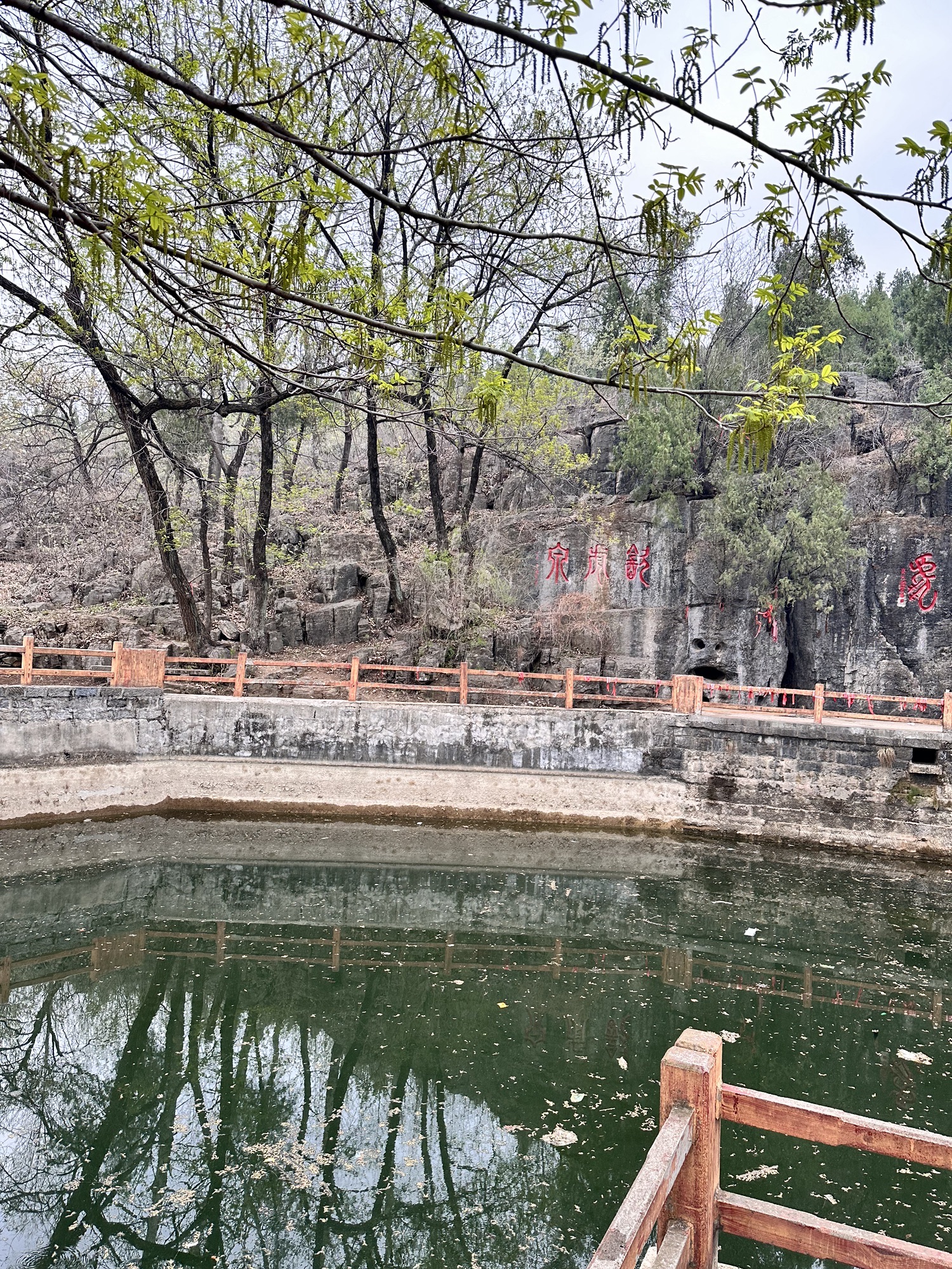 饮虎泉旅行图片 1