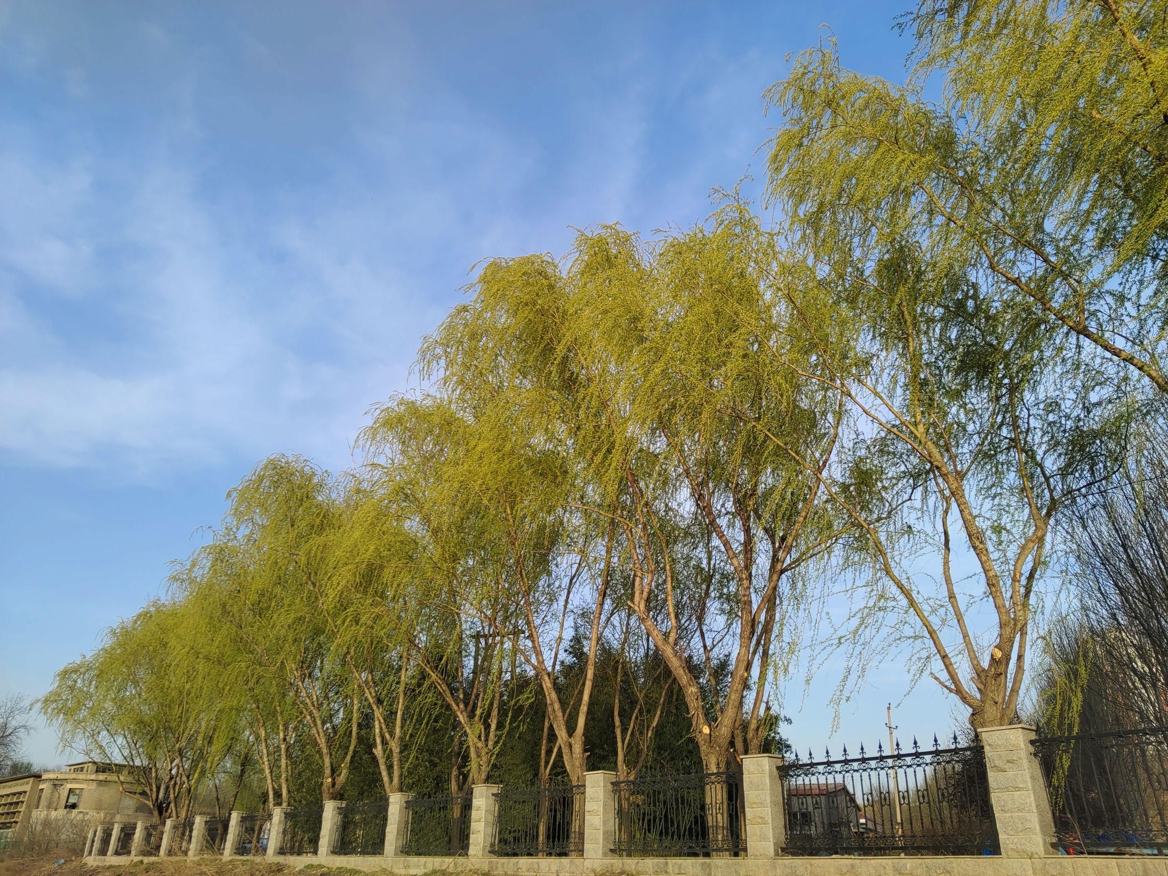 须水河滨河公园旅行图片 2