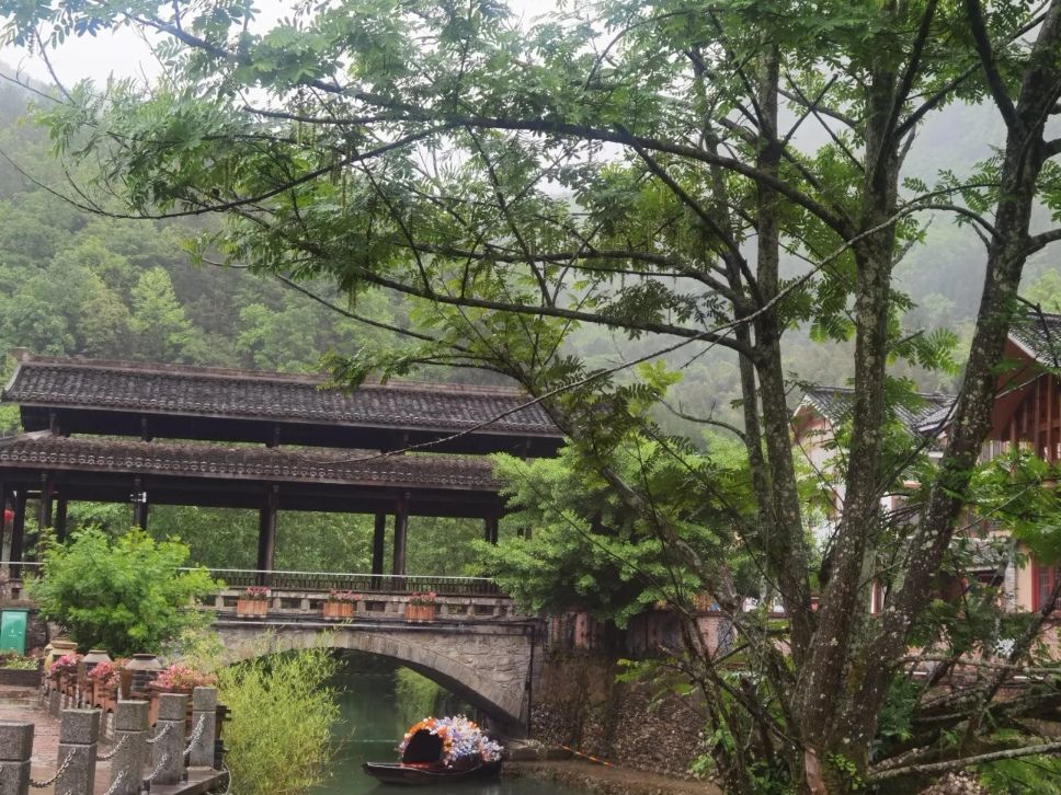 月坝生态康养旅游小镇旅行图片 3