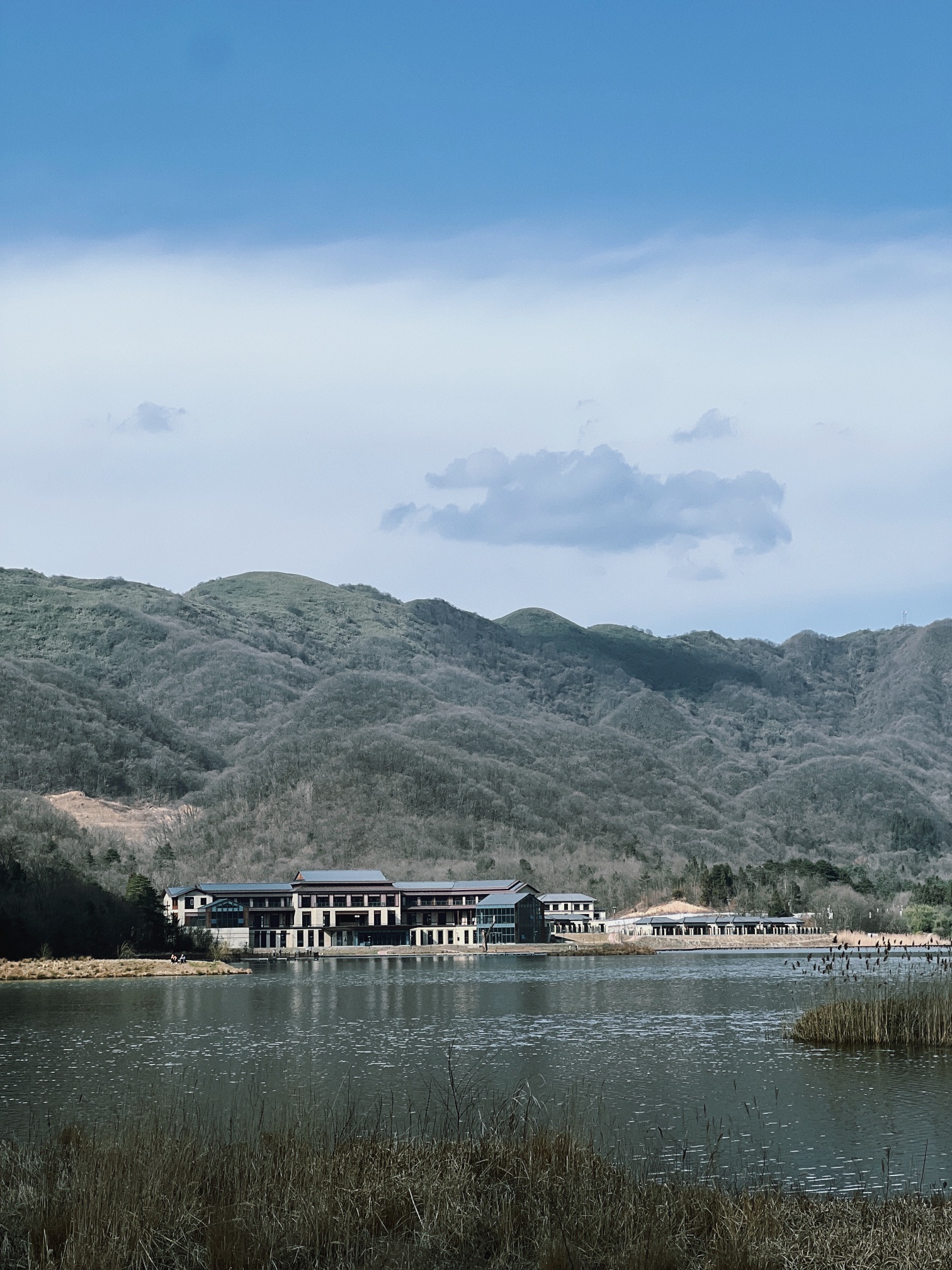 月坝生态康养旅游小镇旅行图片 1