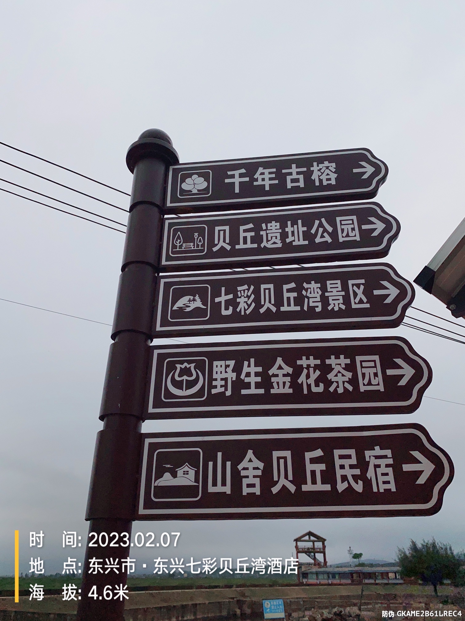 社山贝丘遗址旅行图片 1