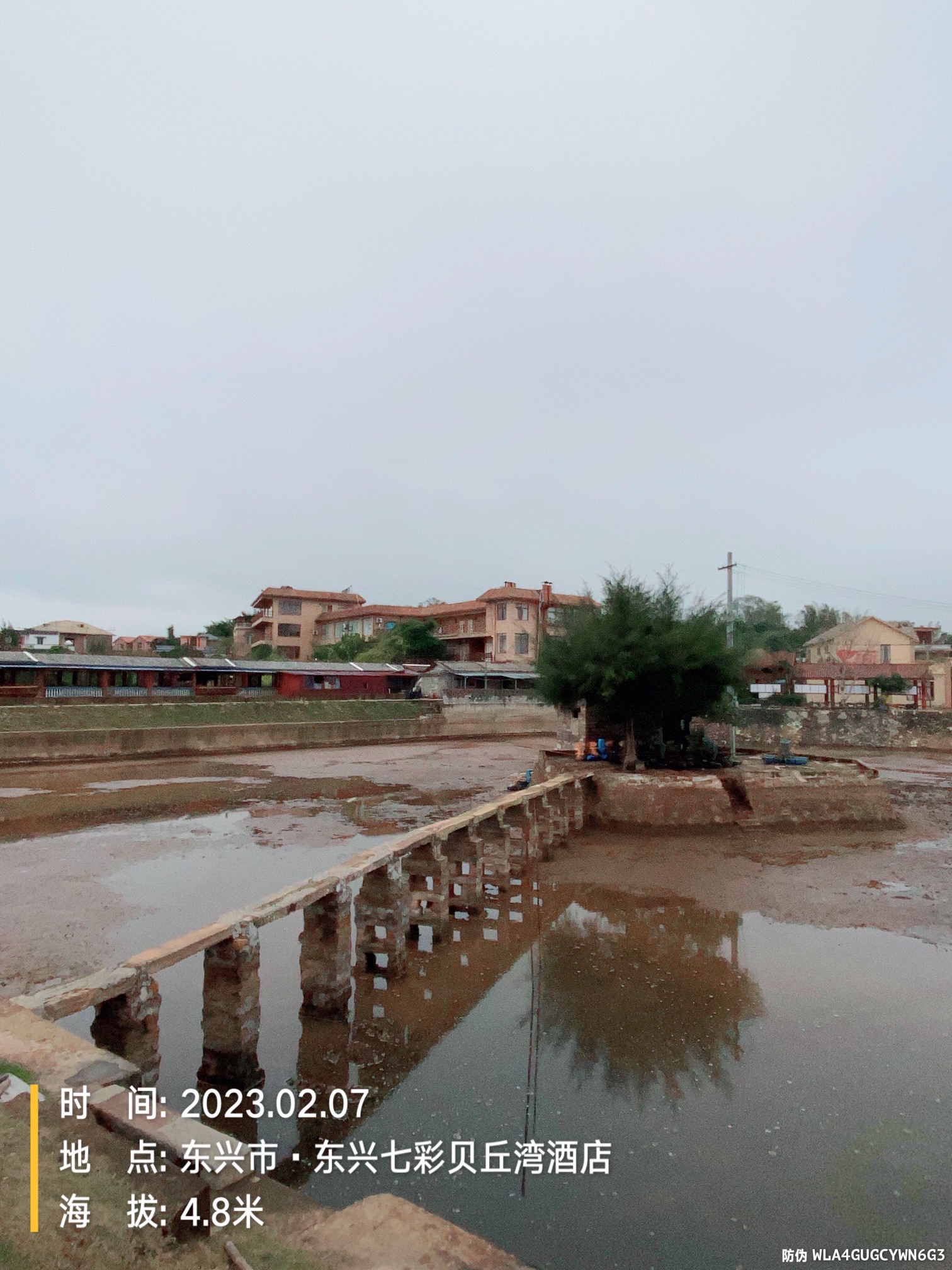 社山贝丘遗址旅行图片 3