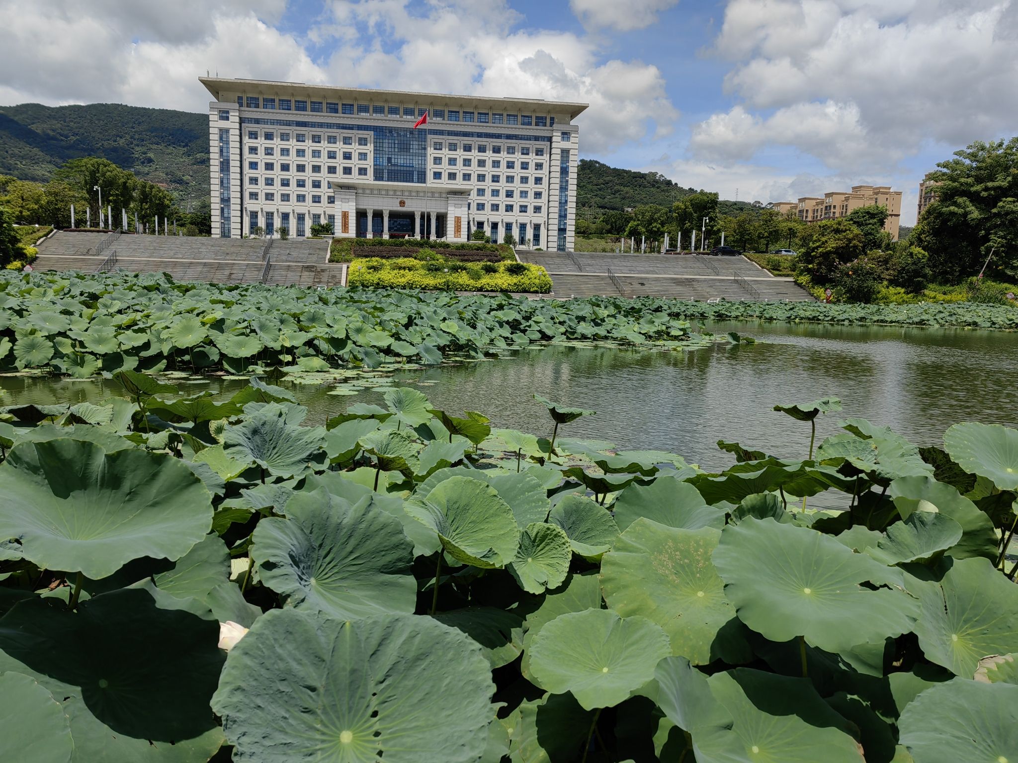 云霄县市民公园旅行图片 2