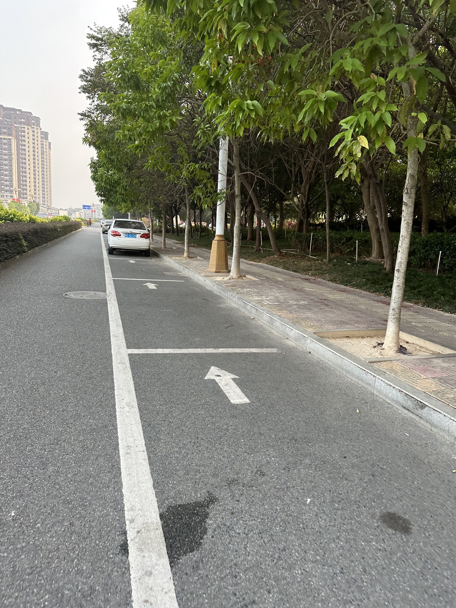 云霄县市民公园旅行图片 3