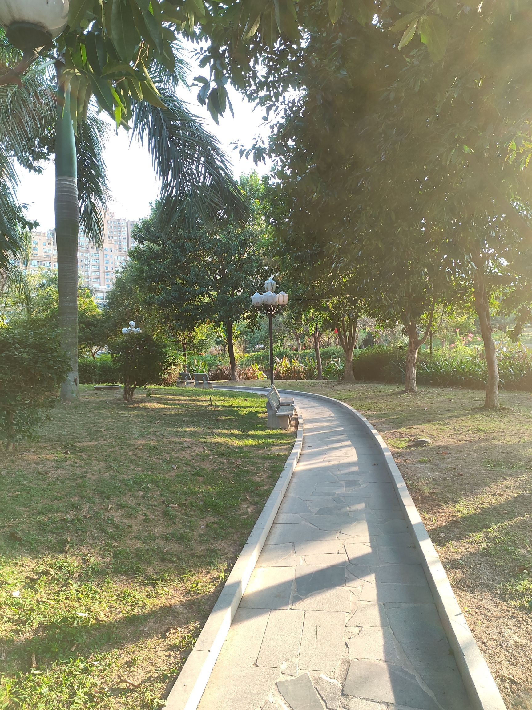 云霄县市民公园旅行图片 2