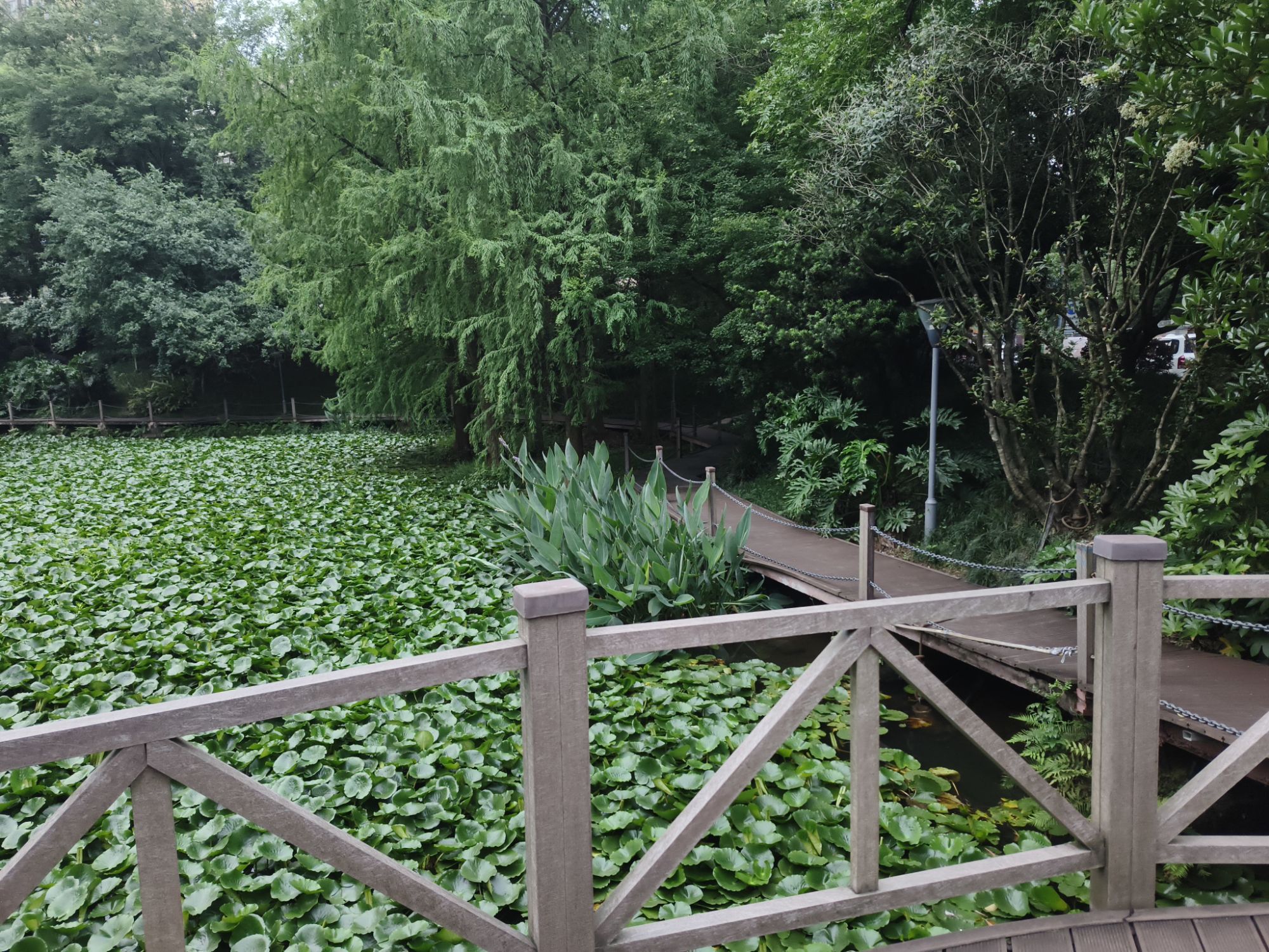法治文化广场旅行图片 2