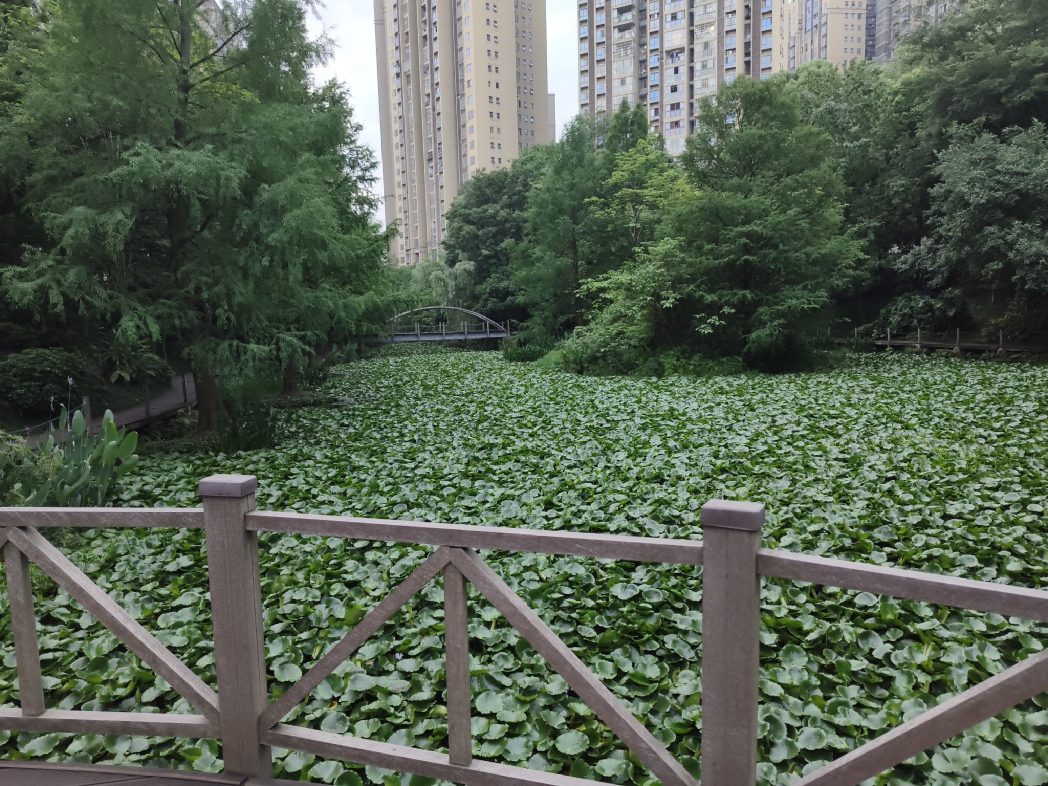 法治文化广场旅行图片 1