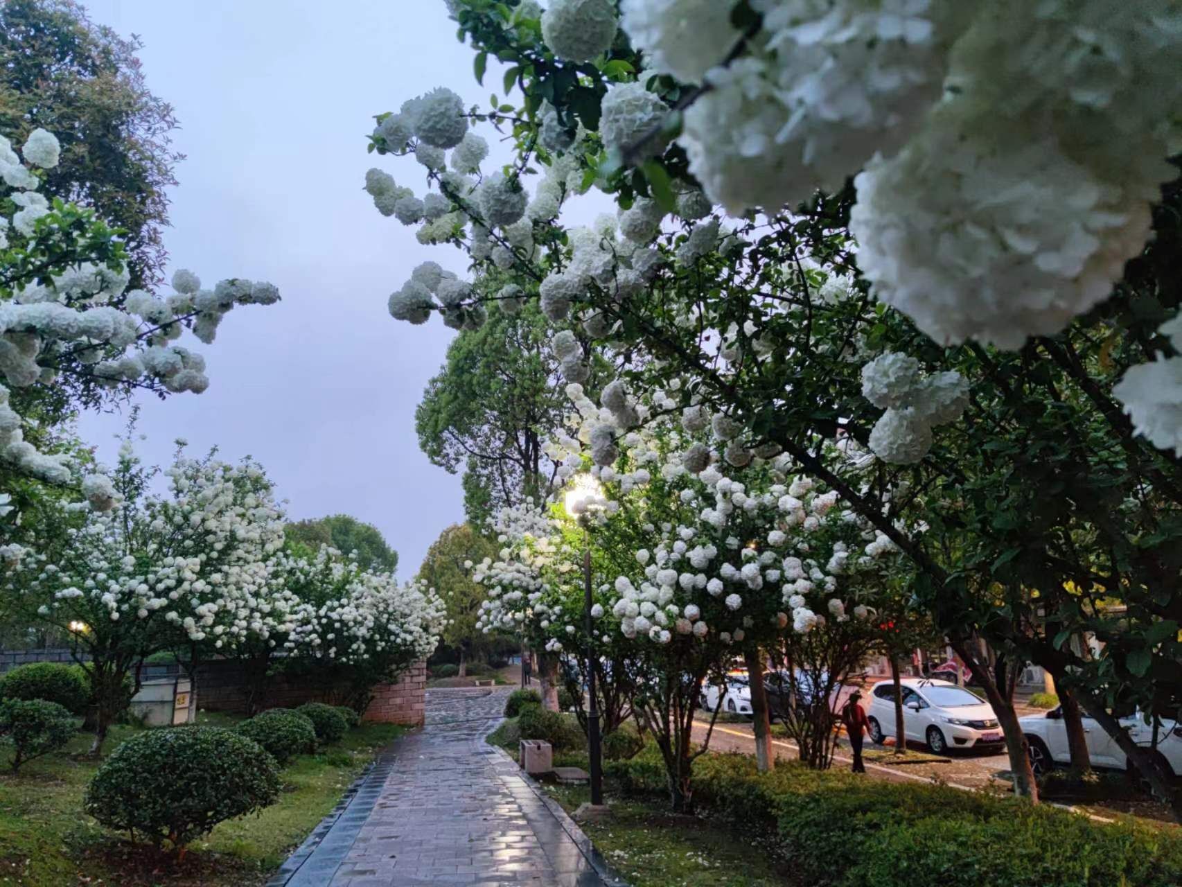 泥河公园