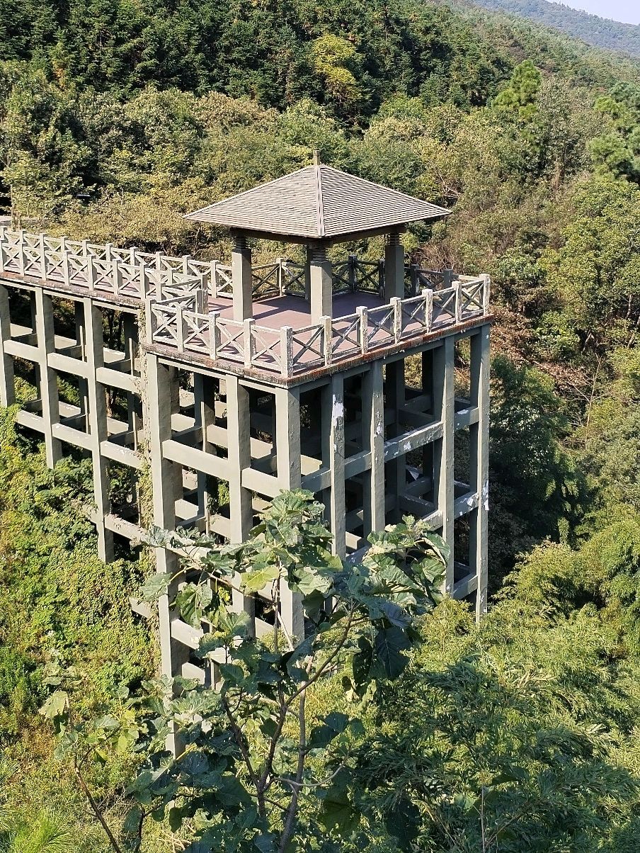 九龙山观景平台旅行图片 2
