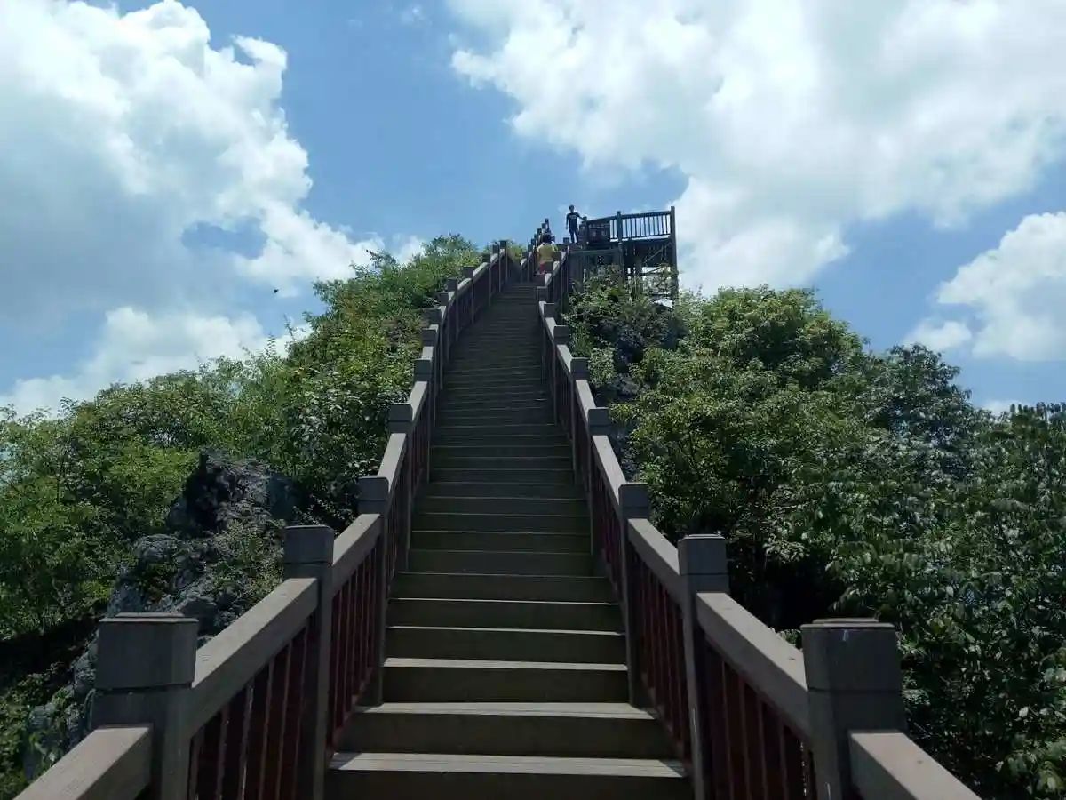 九龙山观景平台旅行图片 1