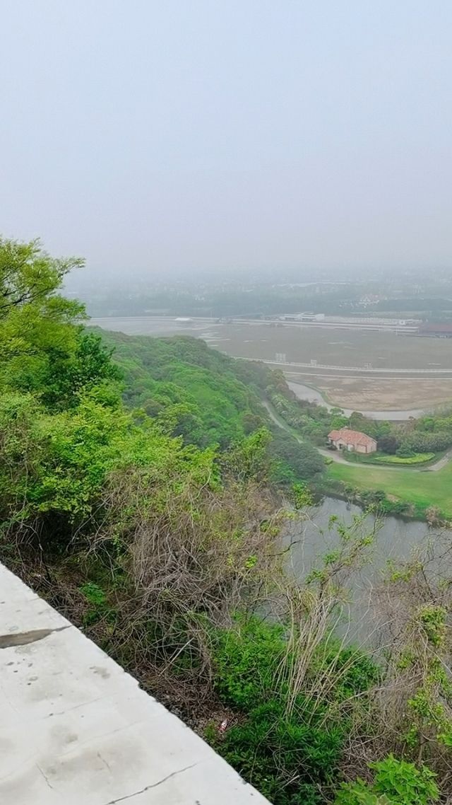 九龙山观景平台旅行图片 3