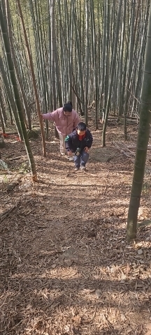 松岭古道旅行图片 3
