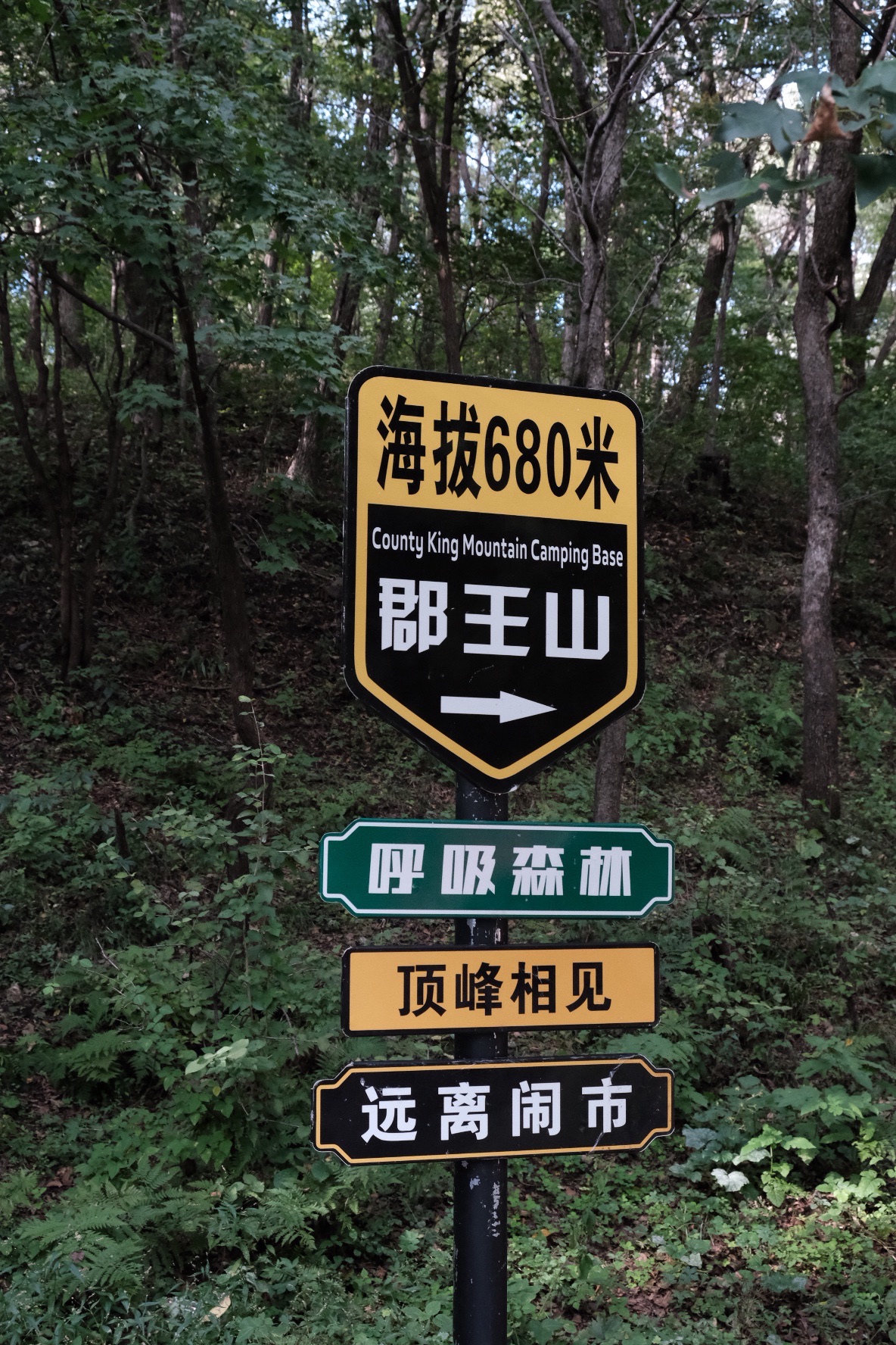 郡王山旅行图片 3