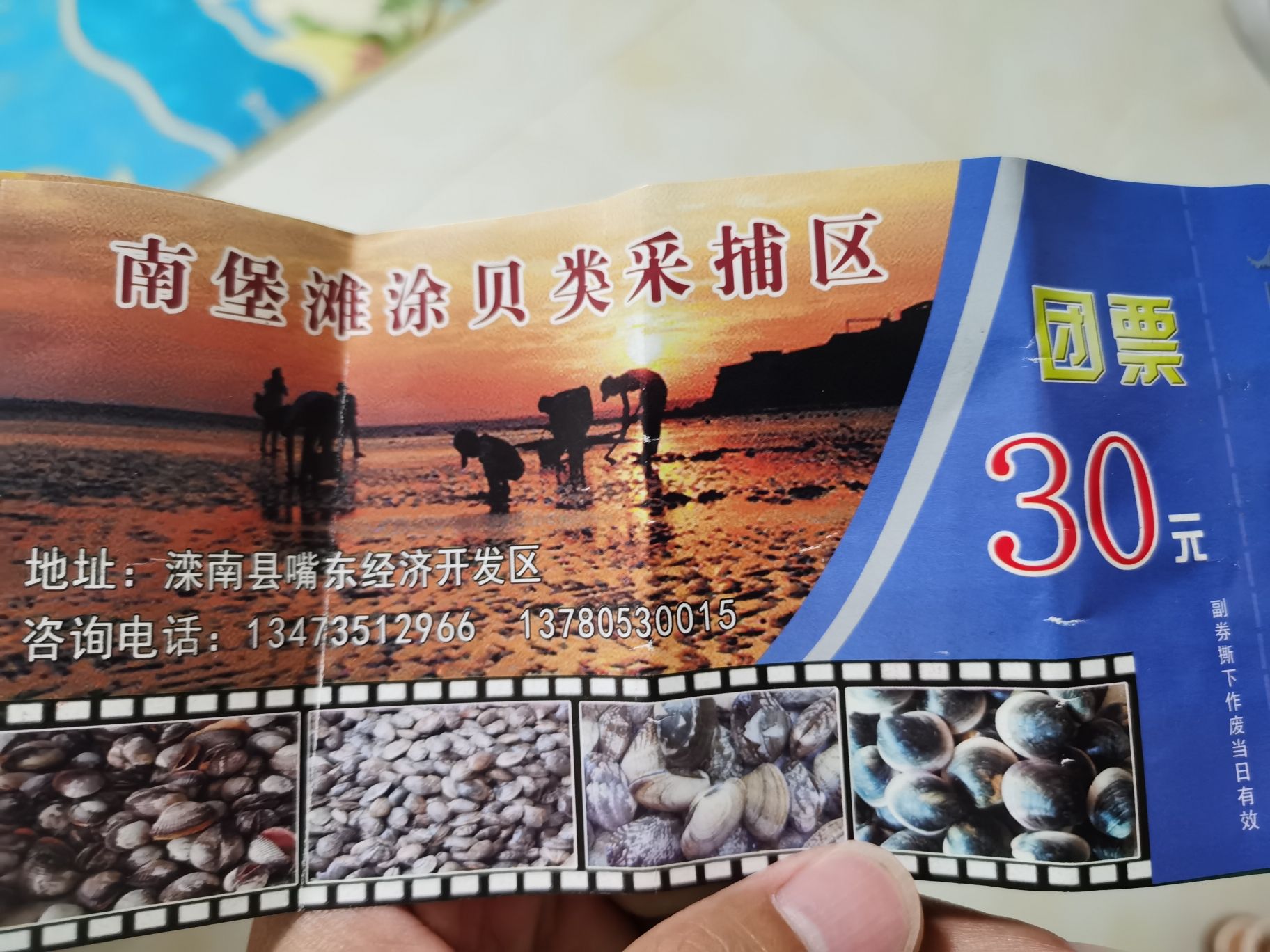 嘴东拾贝滩旅行图片 1