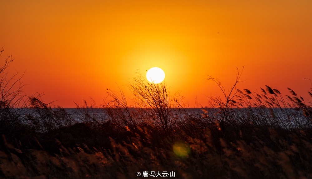 嘴东拾贝滩旅行图片