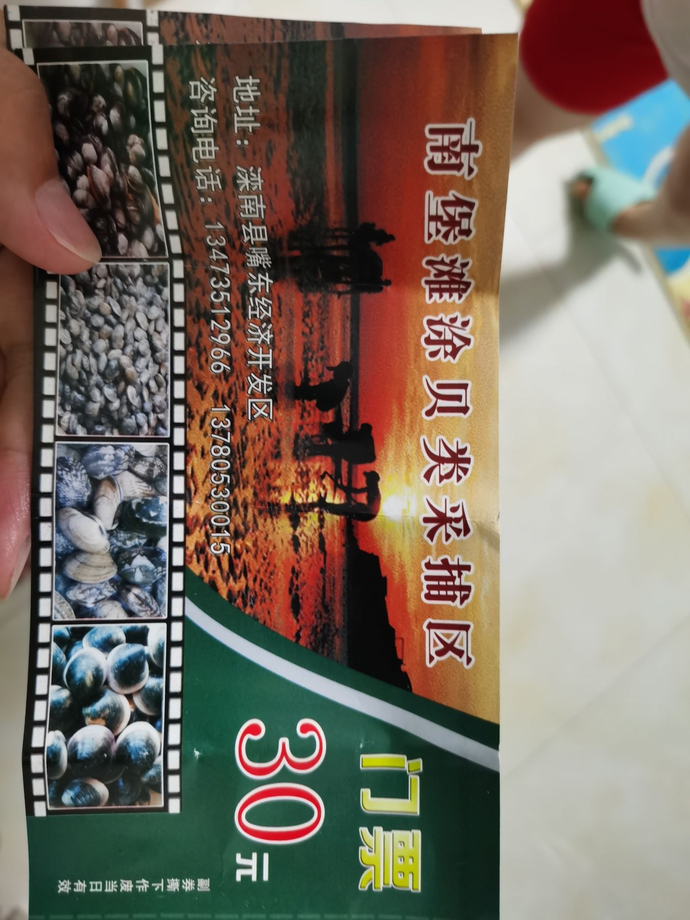 嘴东拾贝滩旅行图片 2