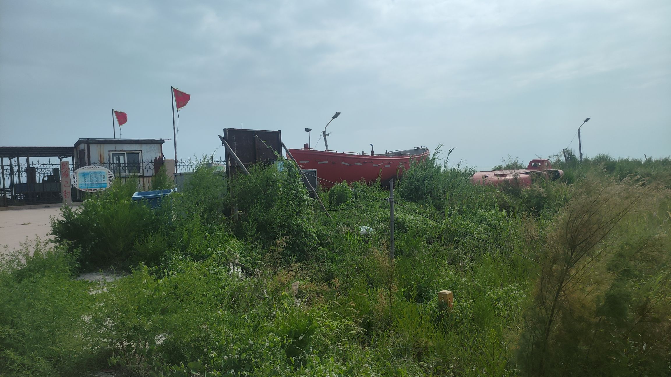 嘴东拾贝滩旅行图片 3