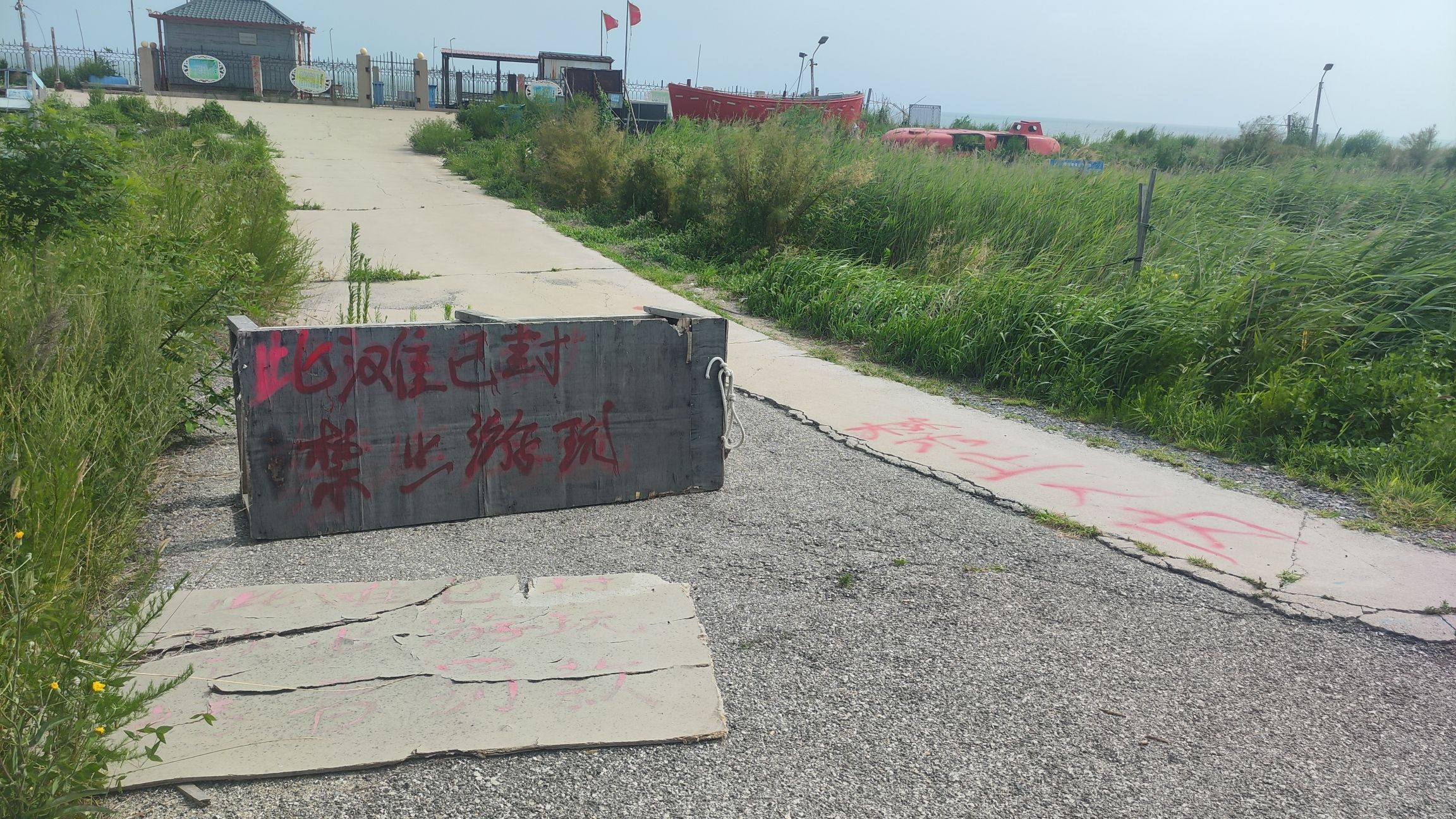 嘴东拾贝滩旅行图片 1