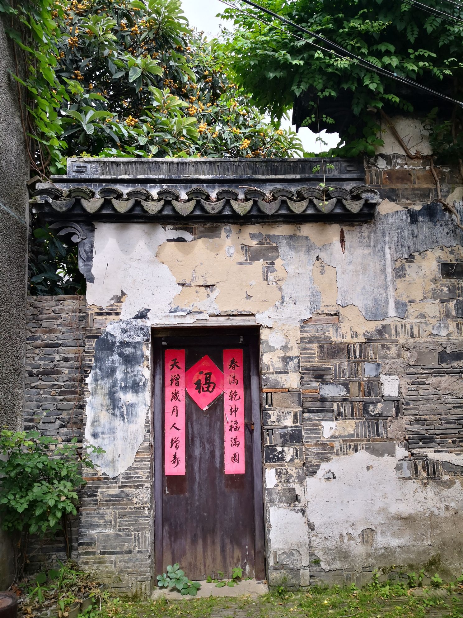 太平古镇旅行图片 2