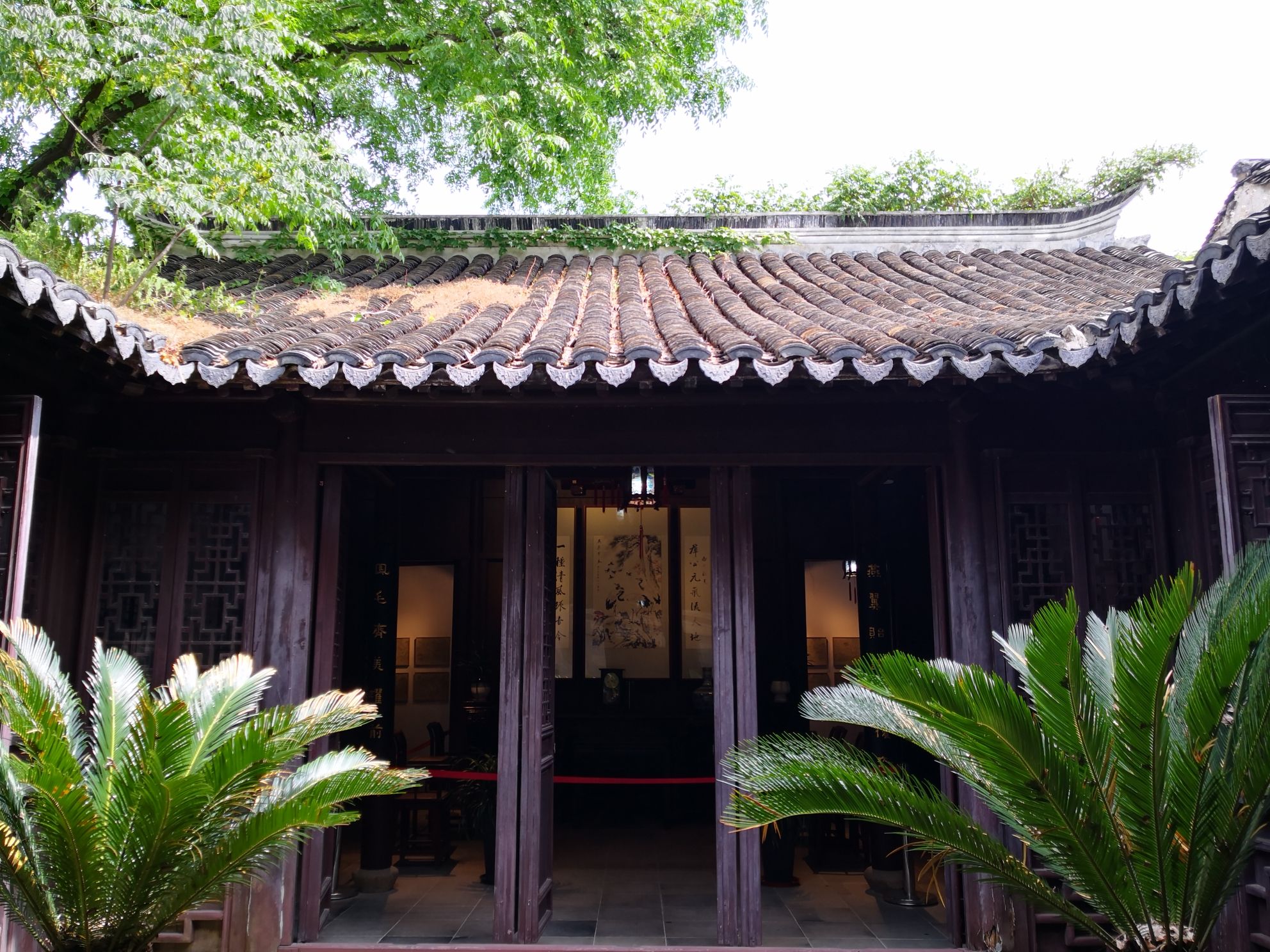 太平古镇旅行图片 3