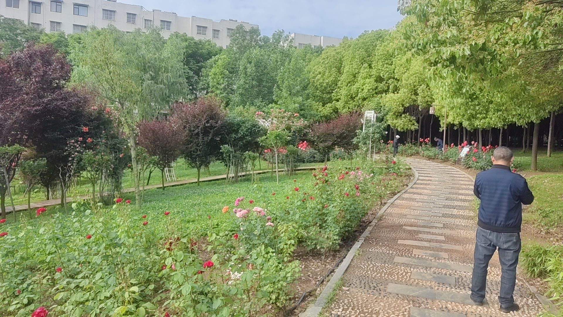 全民健身广场公园旅行图片 3