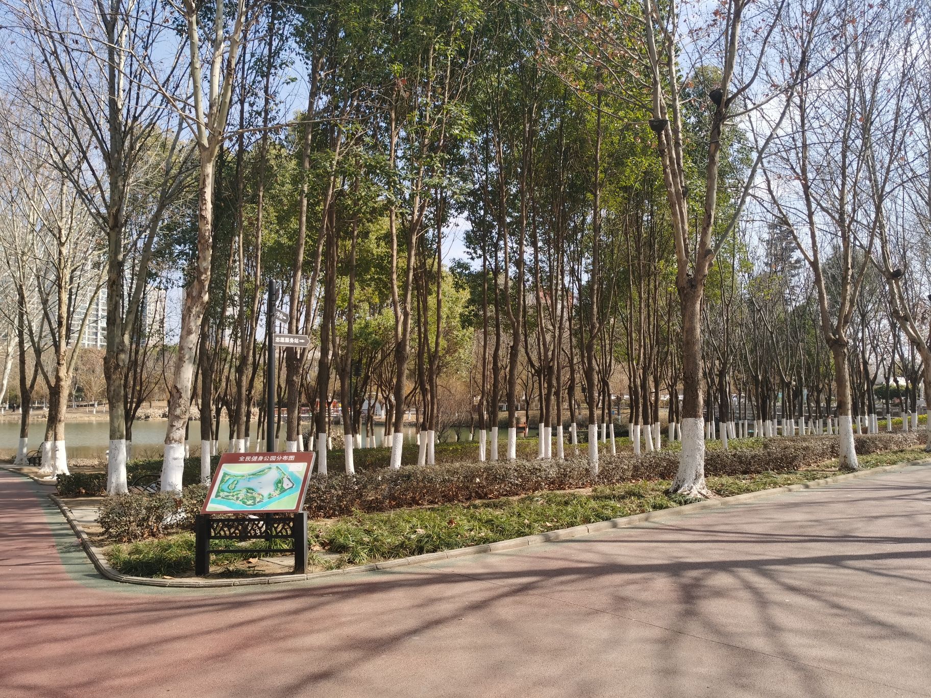 全民健身广场公园旅行图片 2