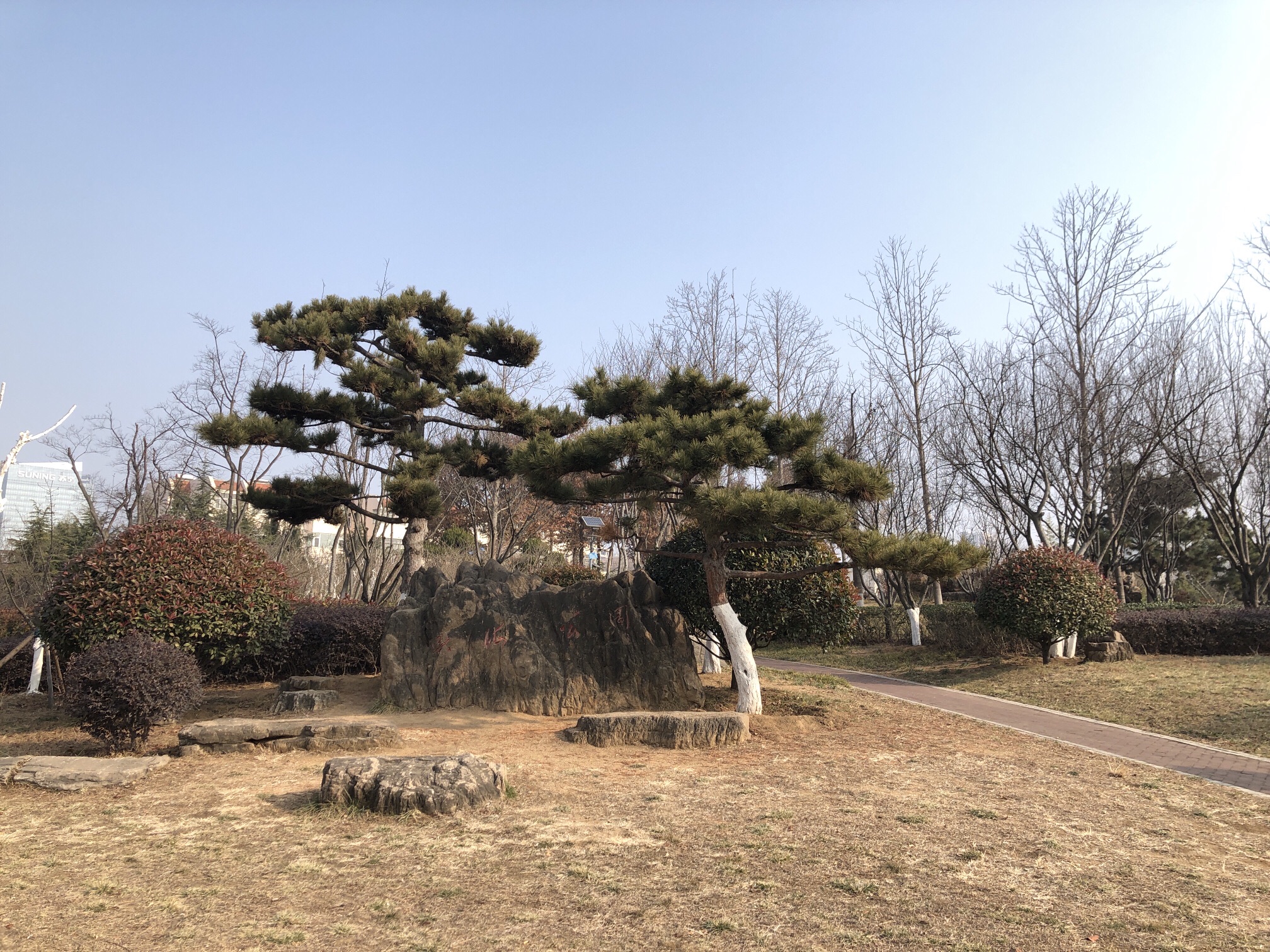 兴海公园旅行图片 2