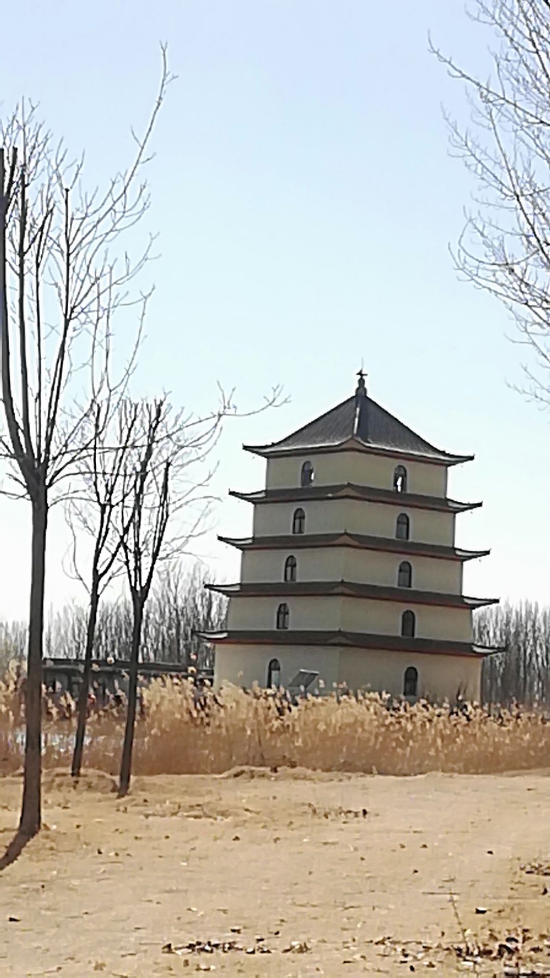 报恩塔旅行图片 2